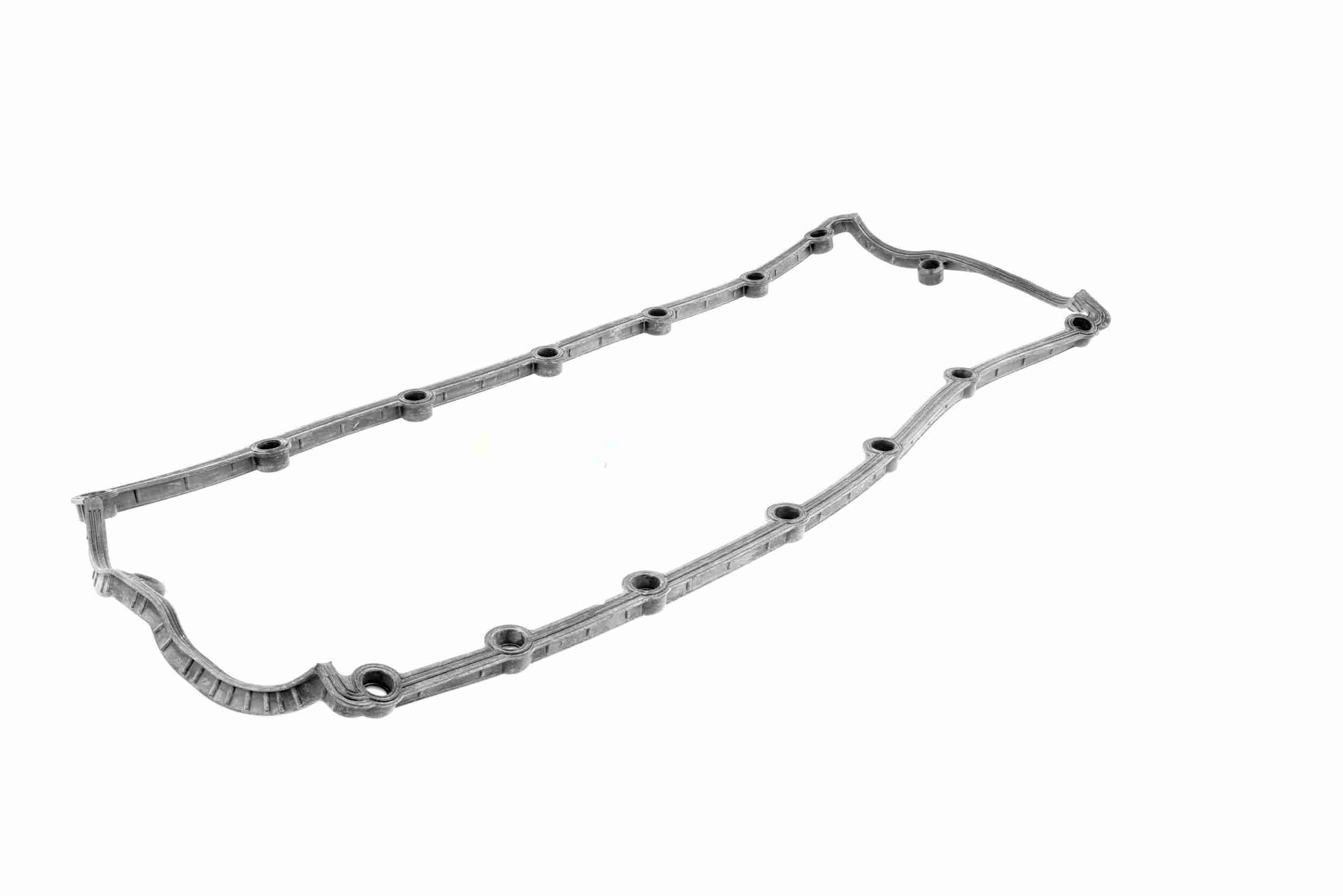 Vaico Kleppendekselpakking V10-4067