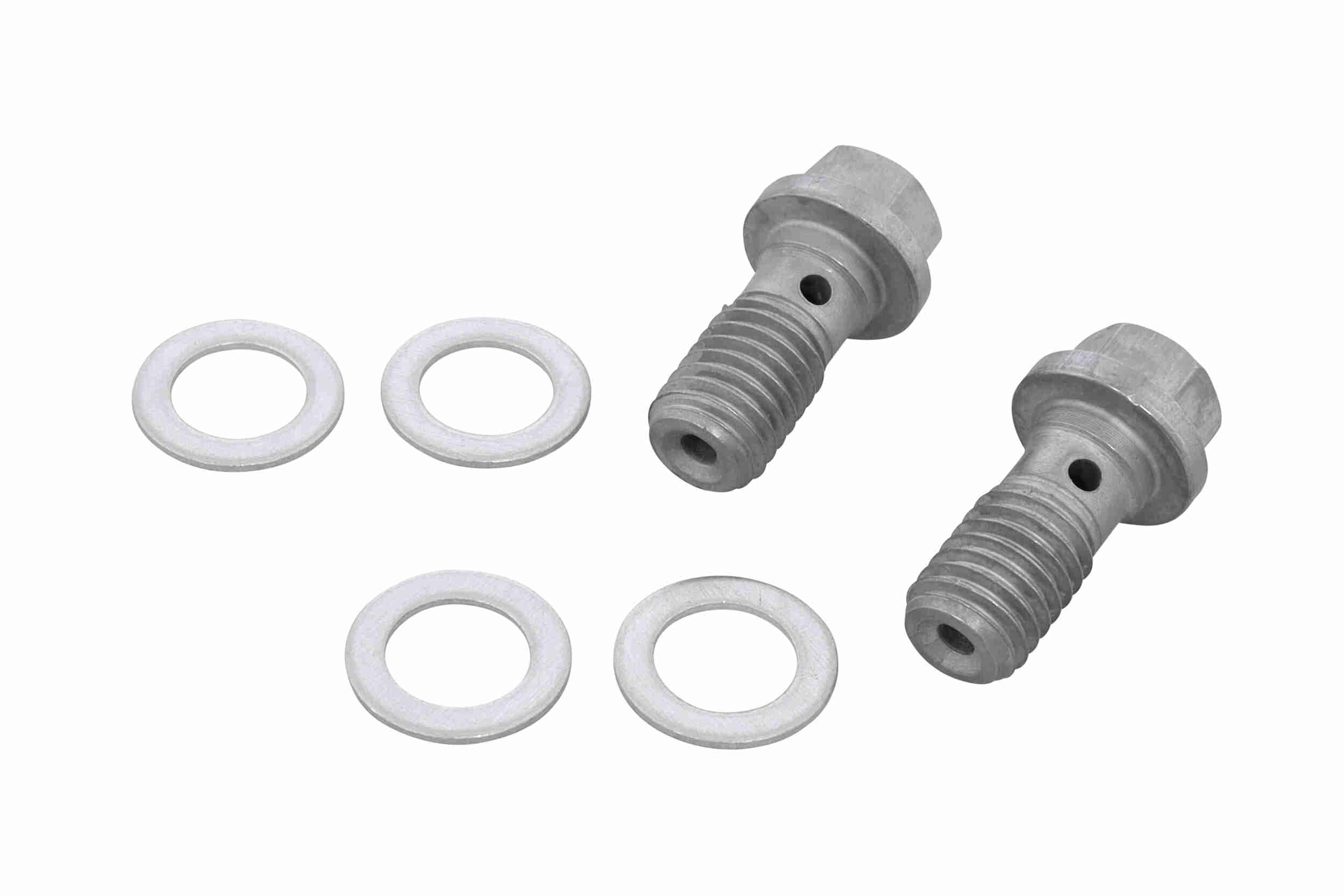 Vaico Remslang V10-4138