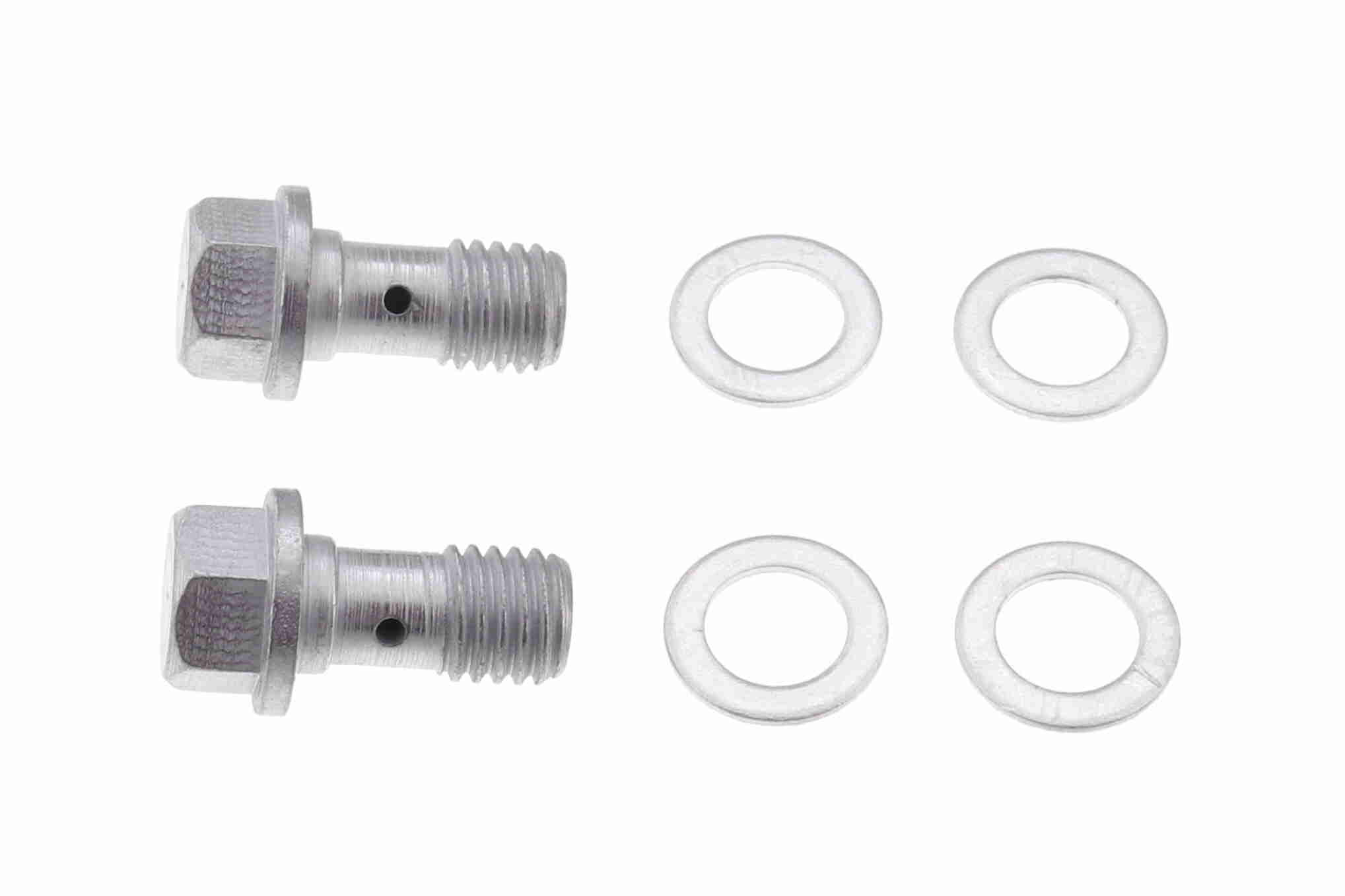 Vaico Remslang V10-4185