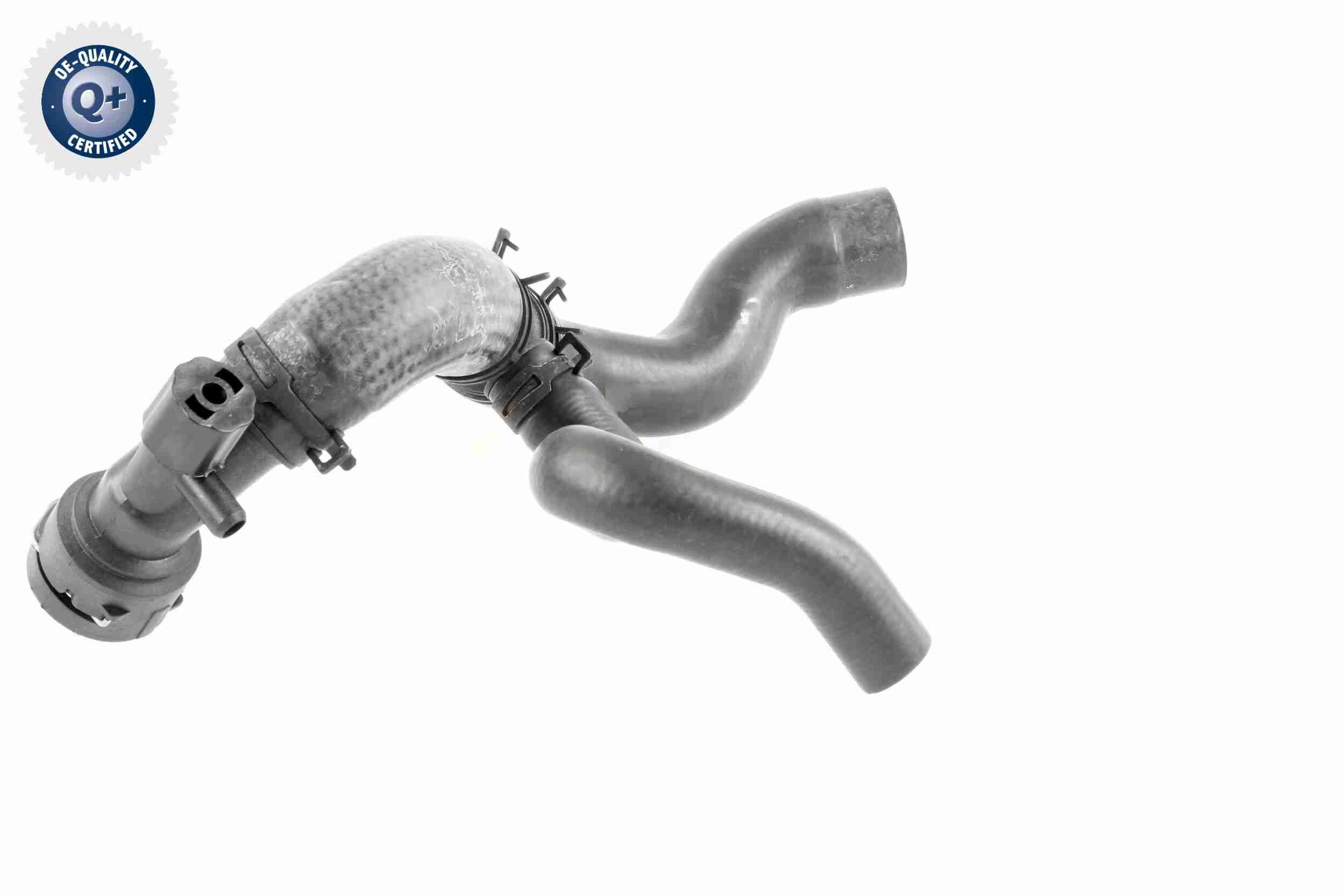 Vaico Radiateurslang V10-4662