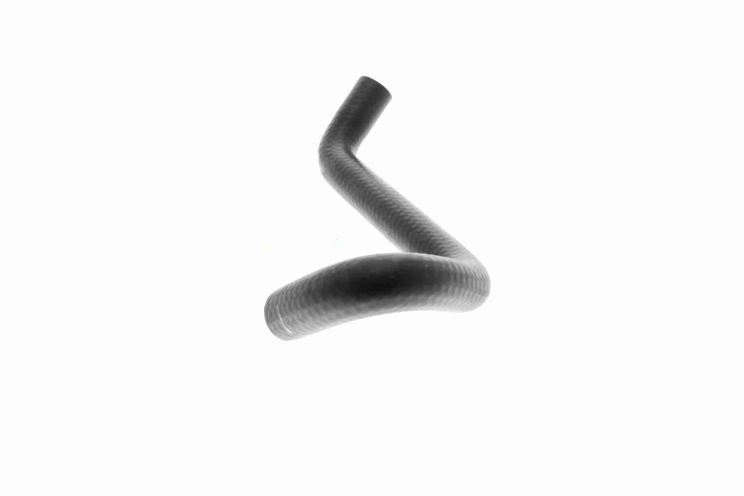 Vaico Radiateurslang V10-4672