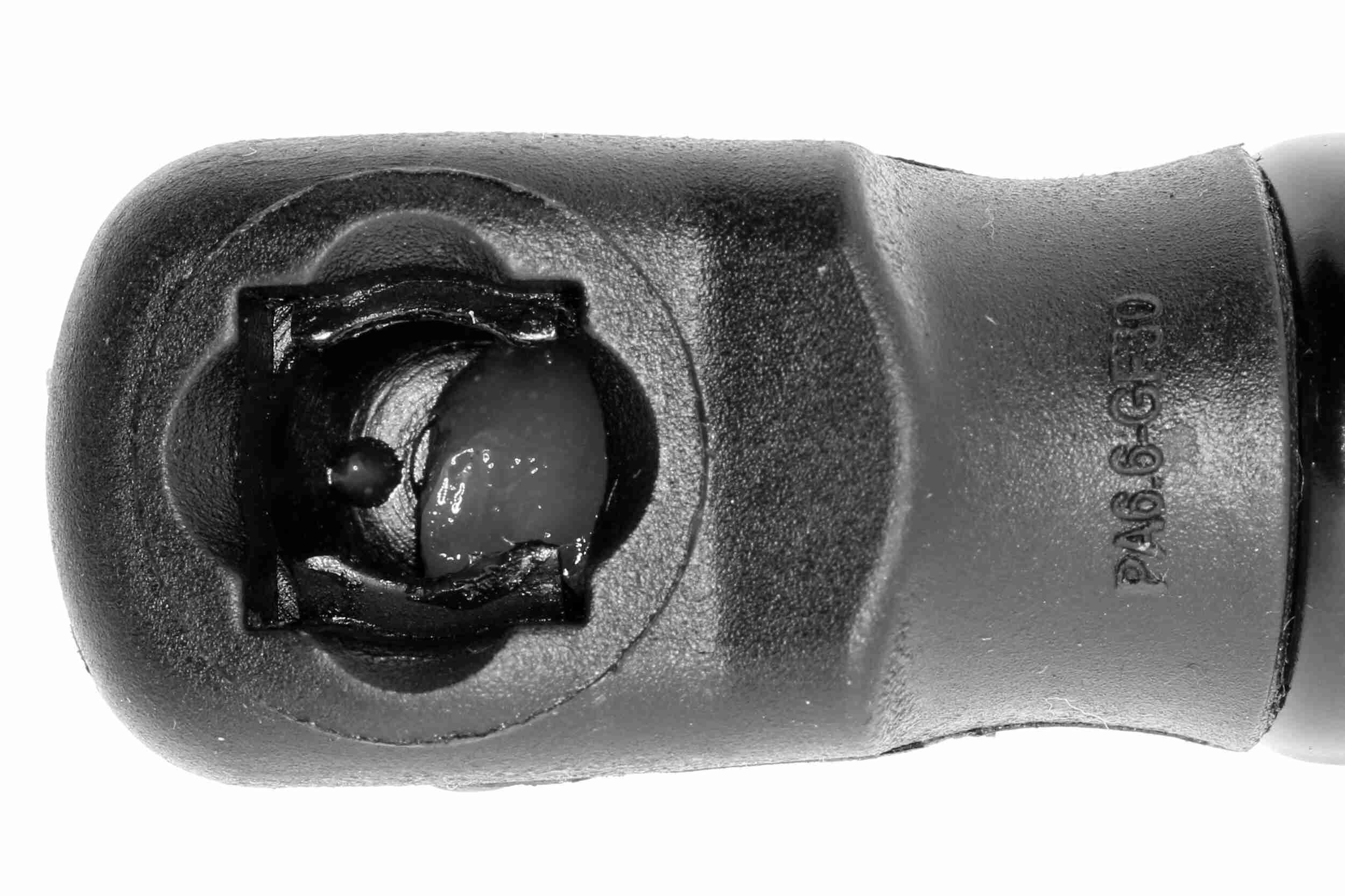 Vaico Gasveer, motorkap V10-4703