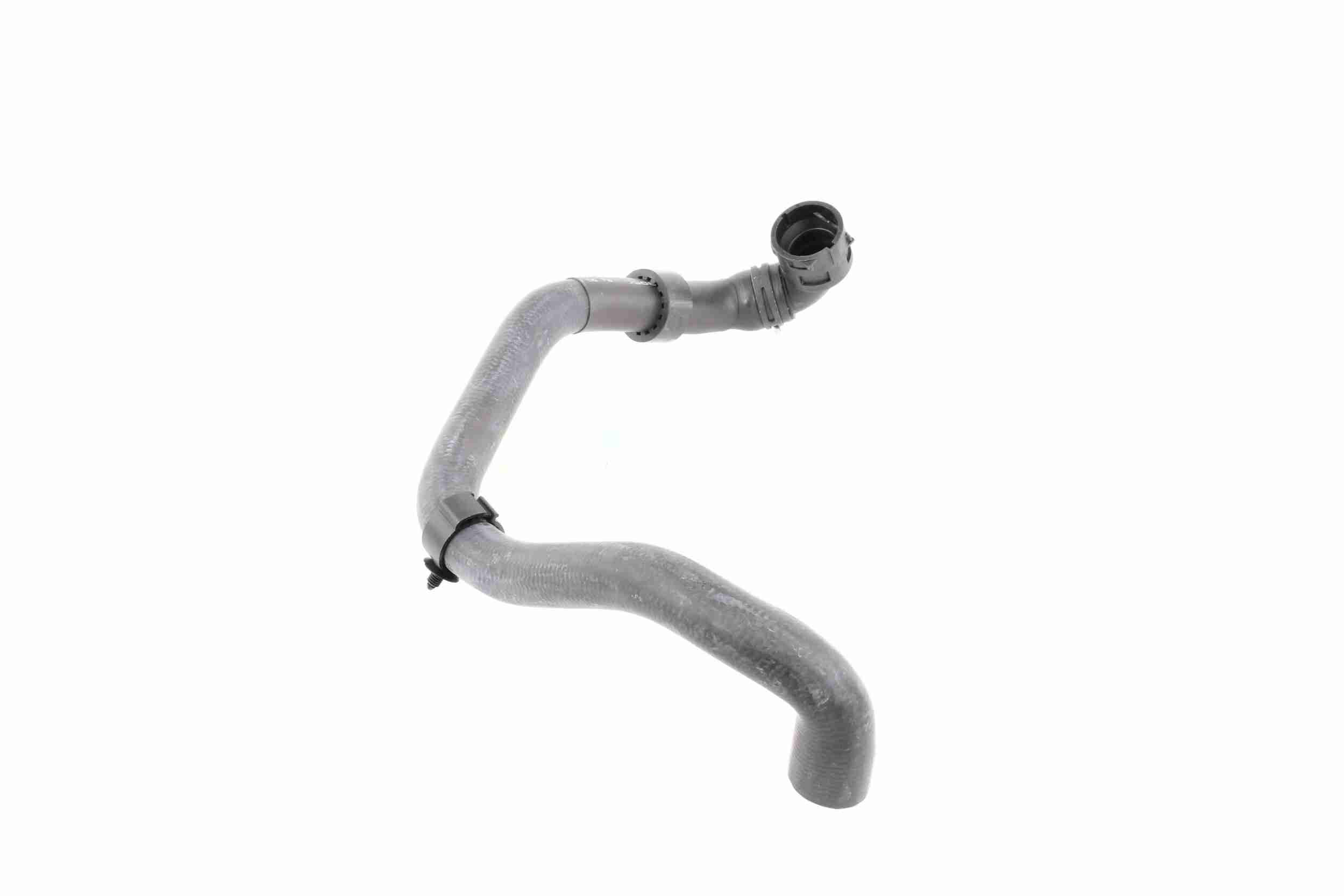 Vaico Radiateurslang V10-4807