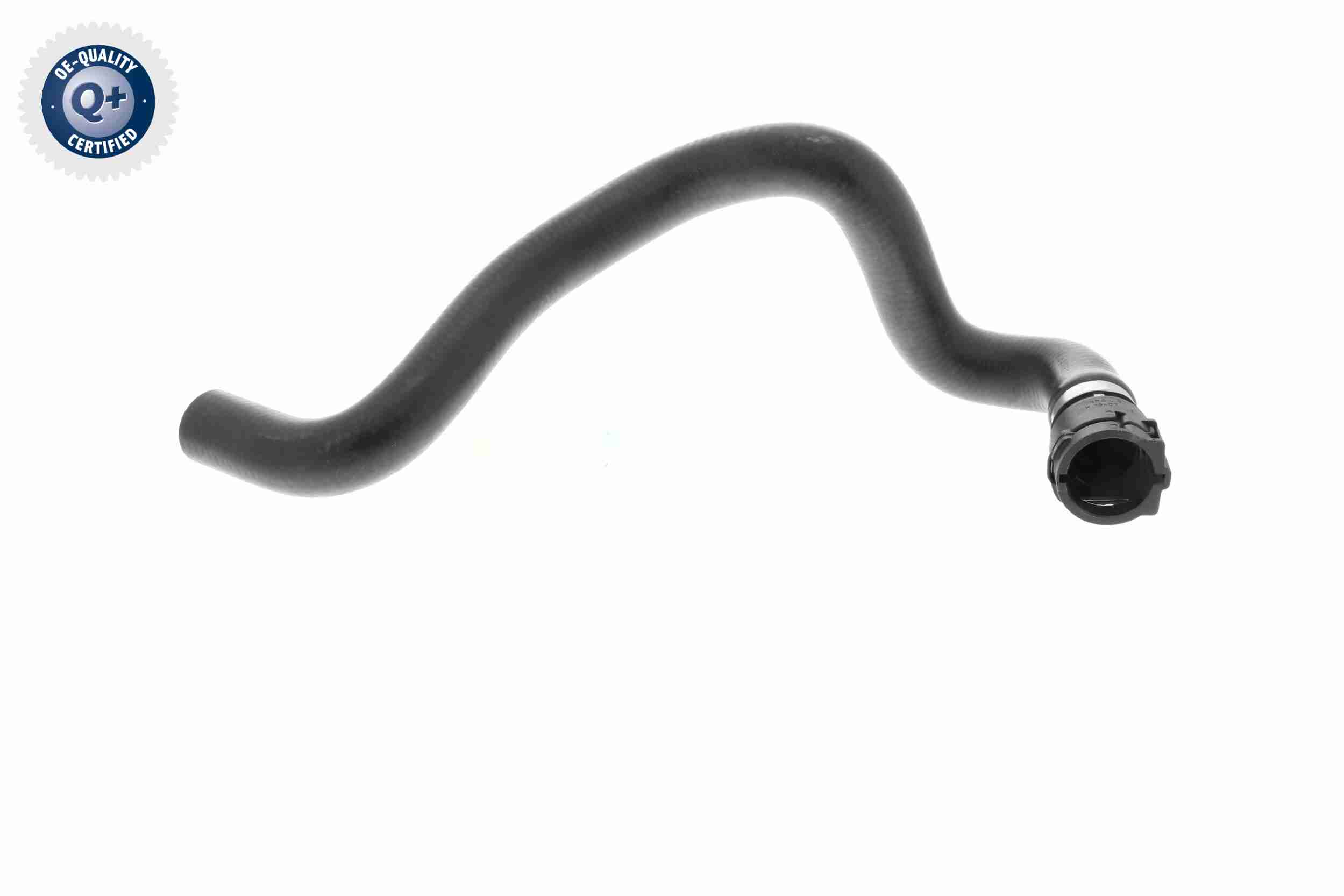 Vaico Slangen V10-4811