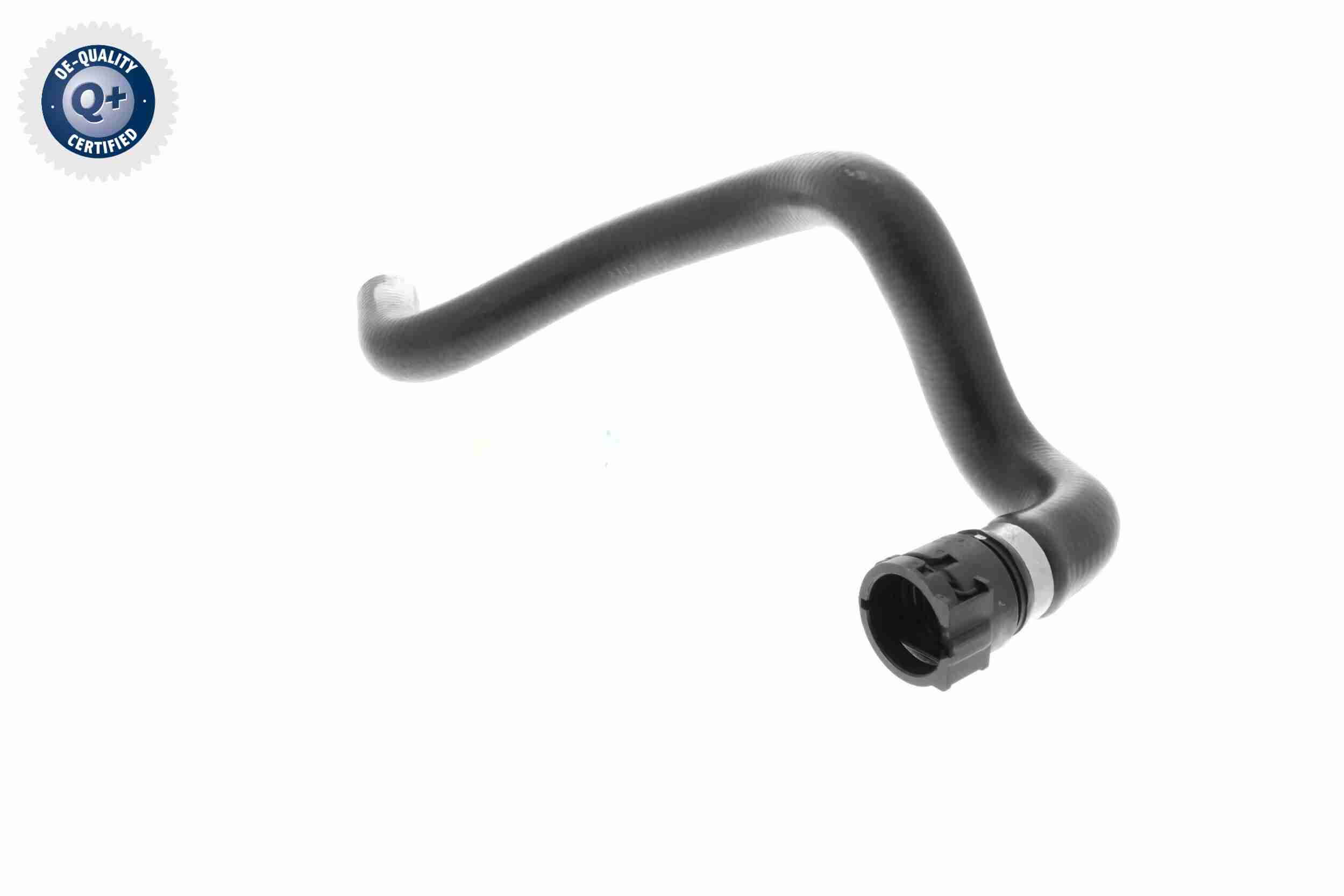 Vaico Slangen V10-4811