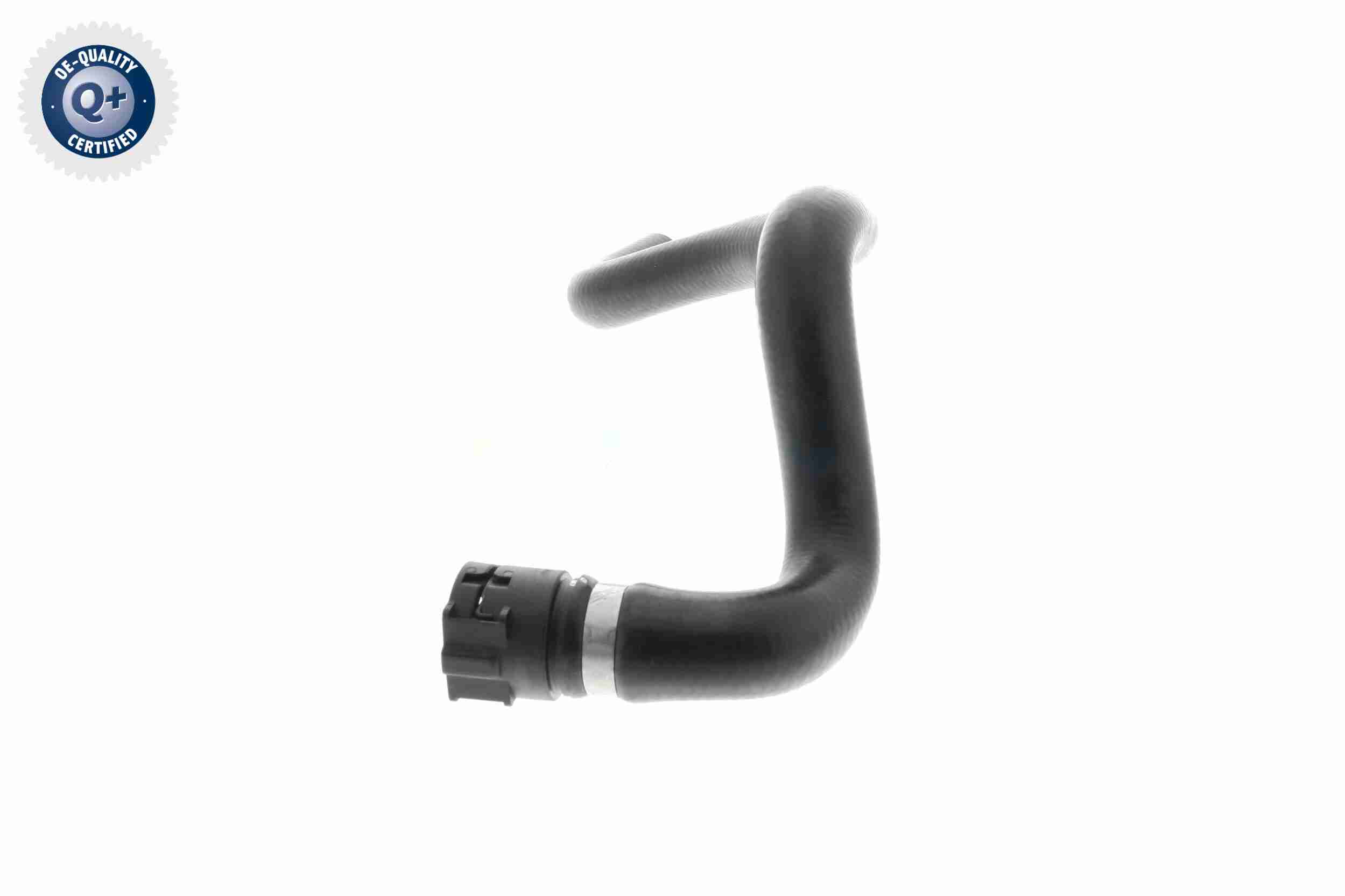 Vaico Slangen V10-4811