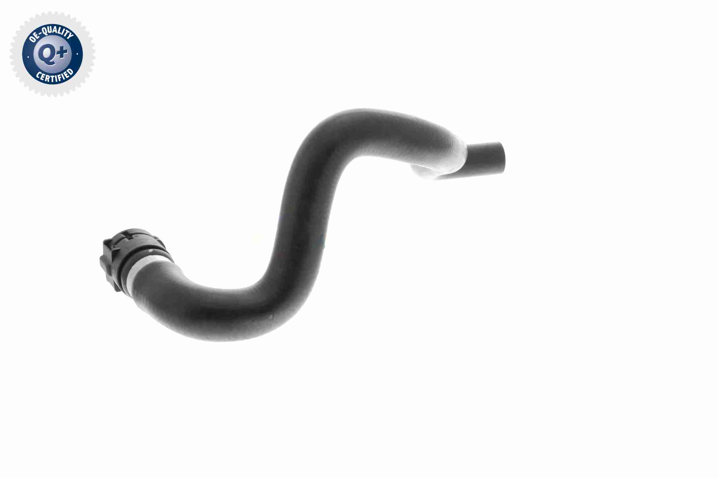 Vaico Slangen V10-4811