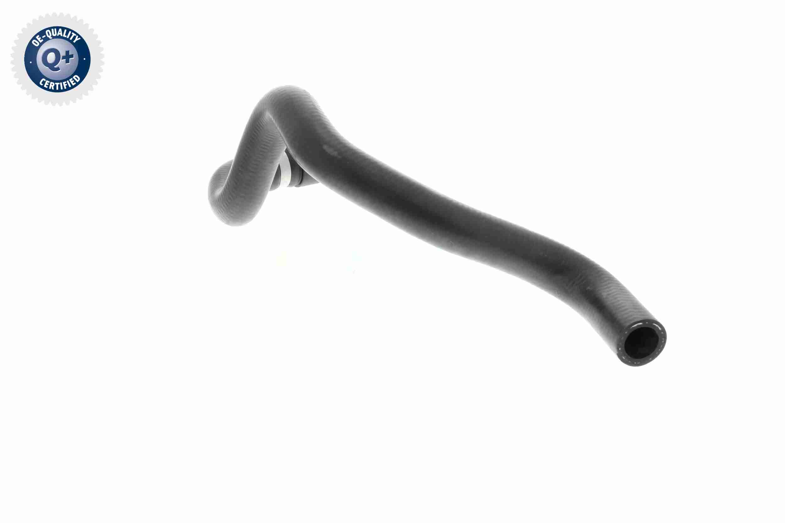 Vaico Slangen V10-4811