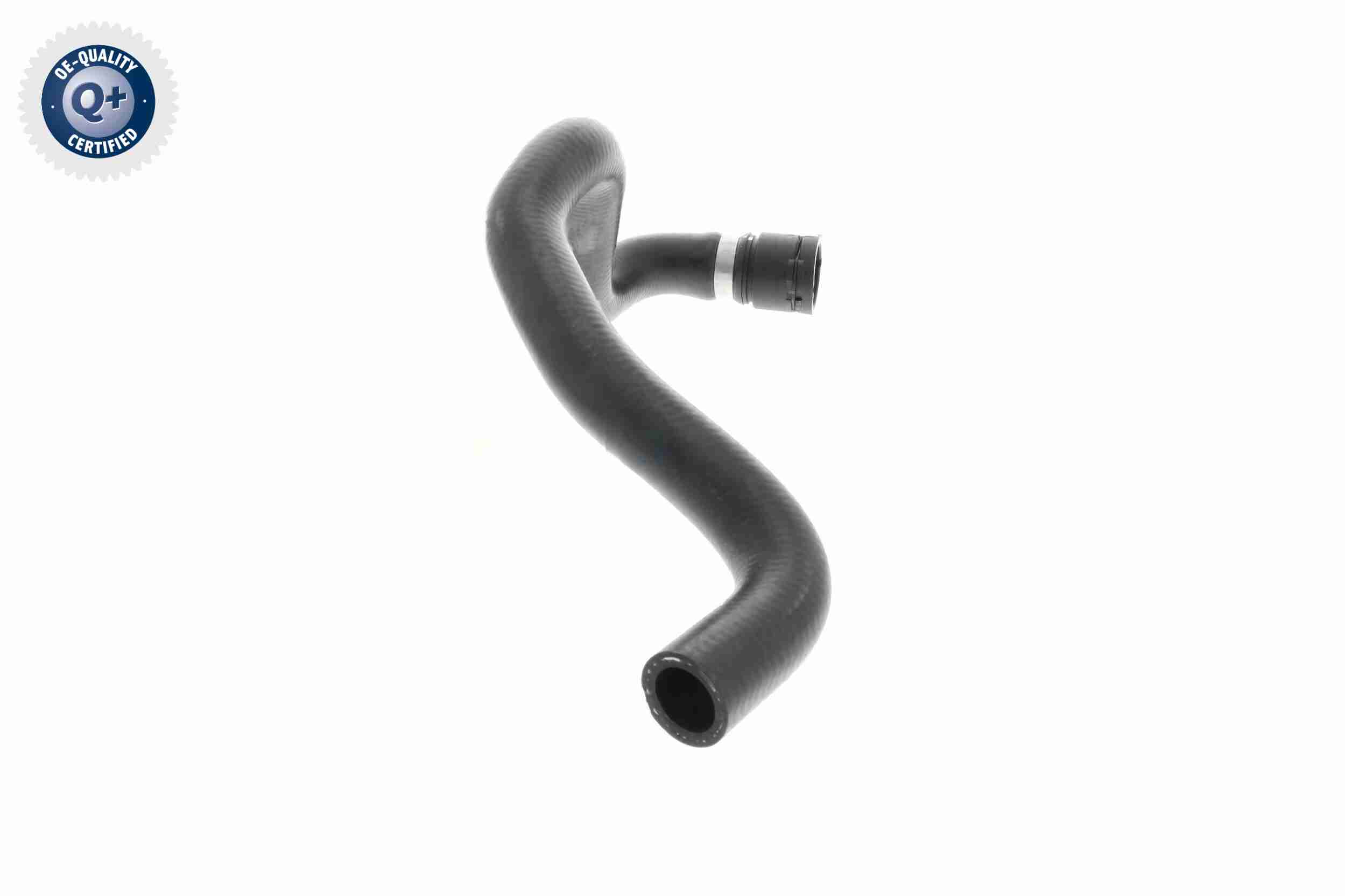 Vaico Slangen V10-4811