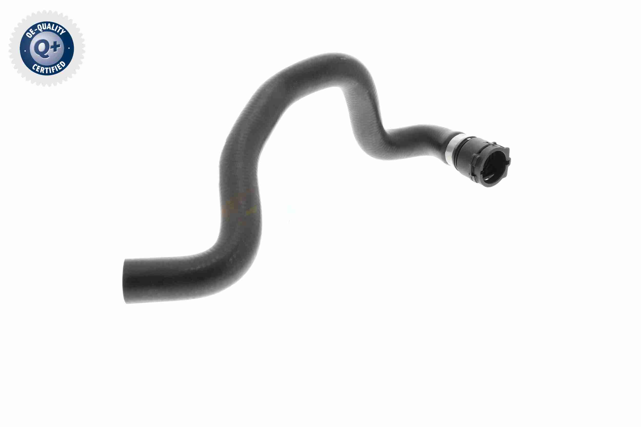 Vaico Slangen V10-4811