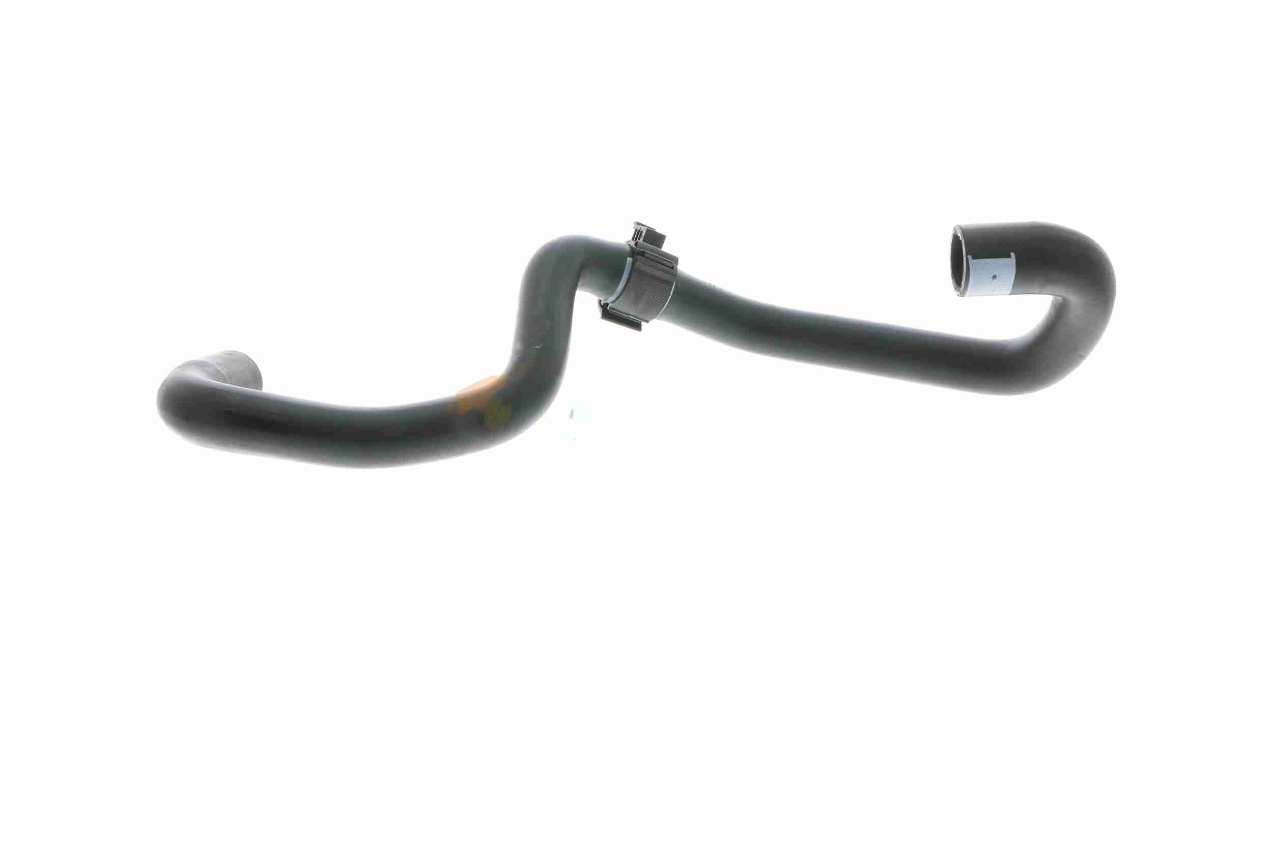 Vaico Slangen V10-4984