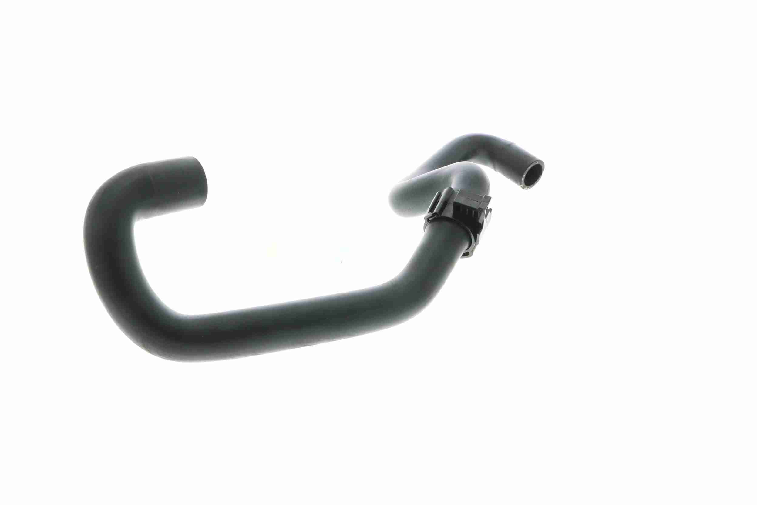 Vaico Slangen V10-4984