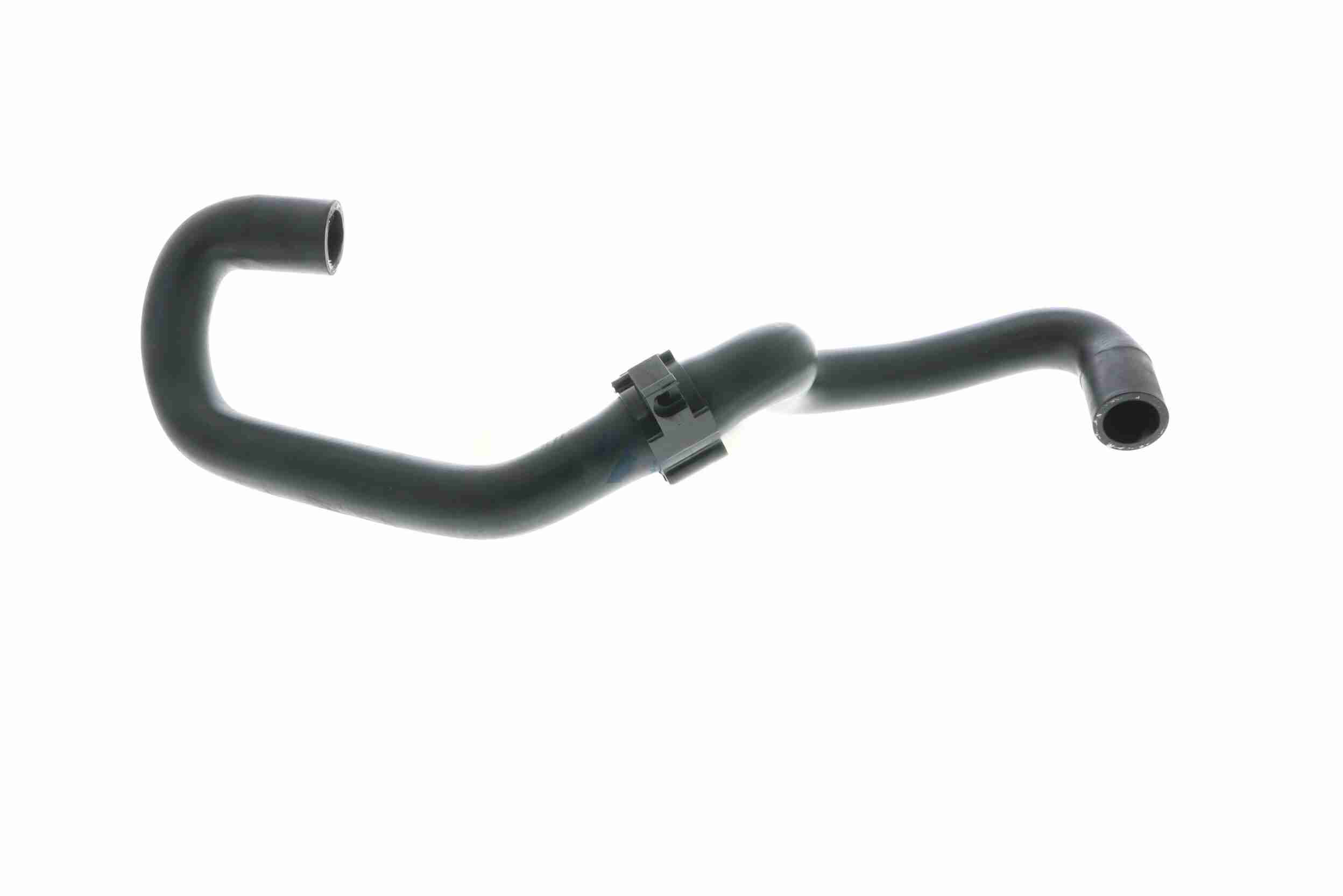 Vaico Slangen V10-4984