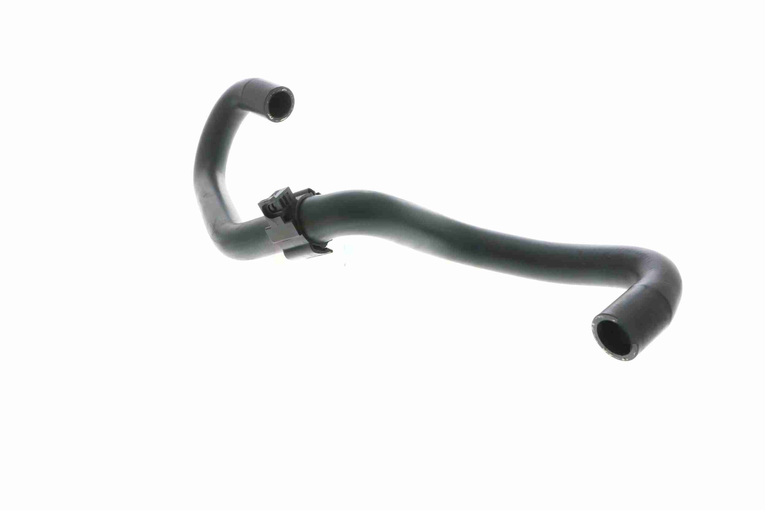 Vaico Slangen V10-4984