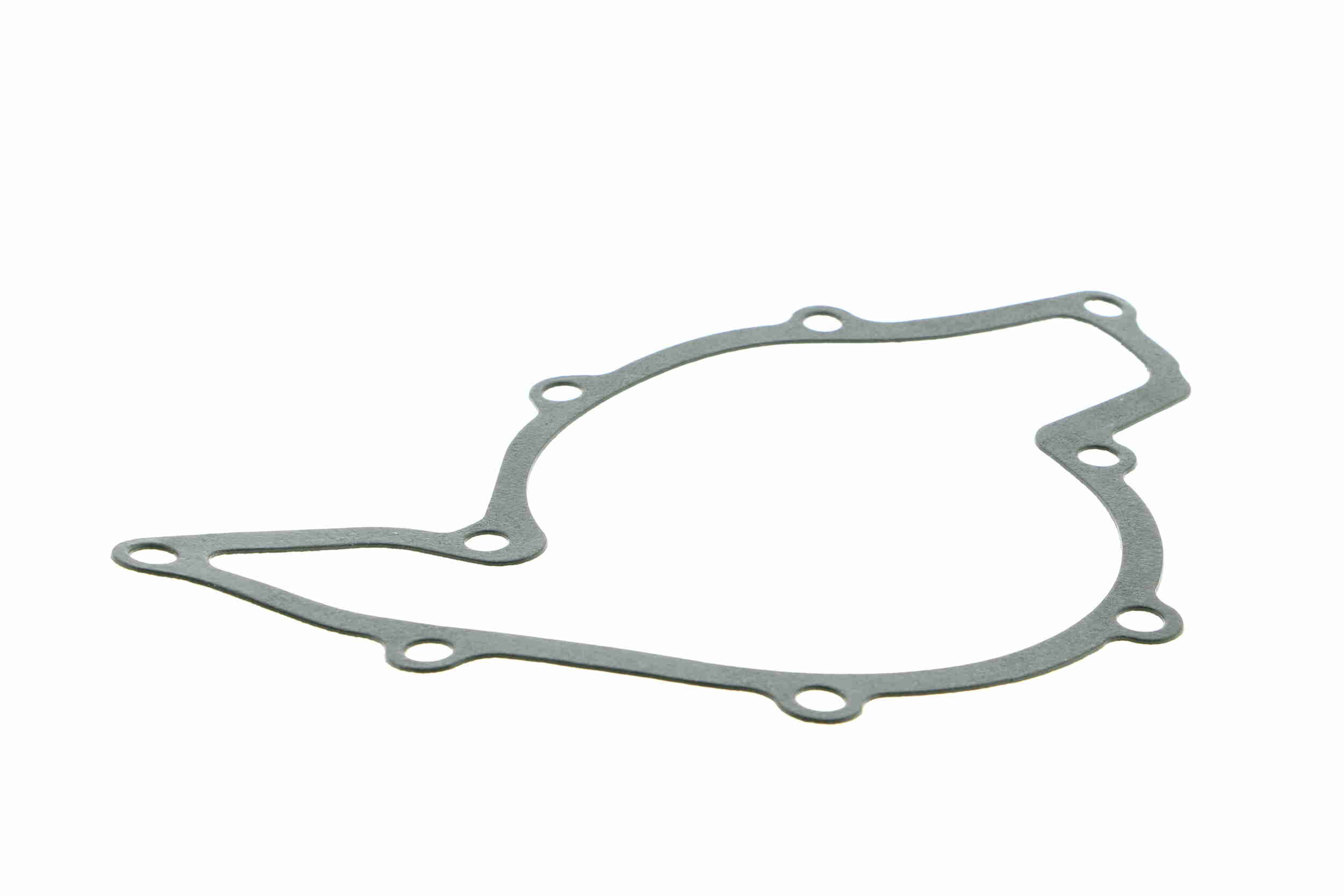 Vaico Waterpomp V10-50049