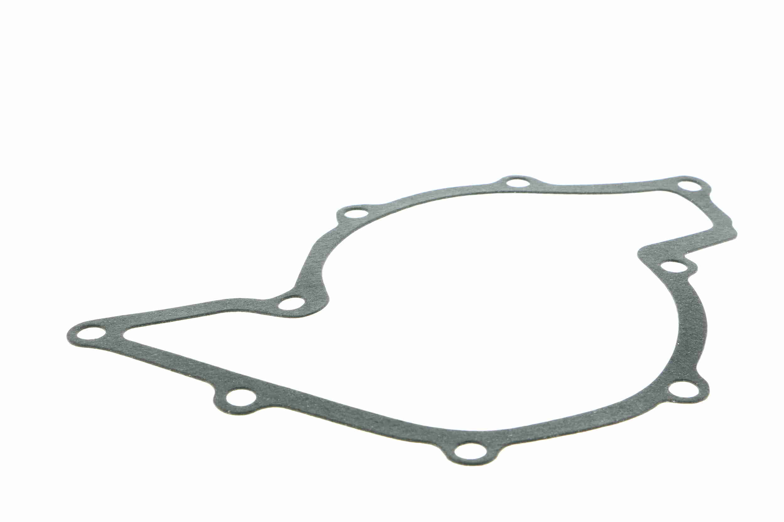 Vaico Waterpomp V10-50087