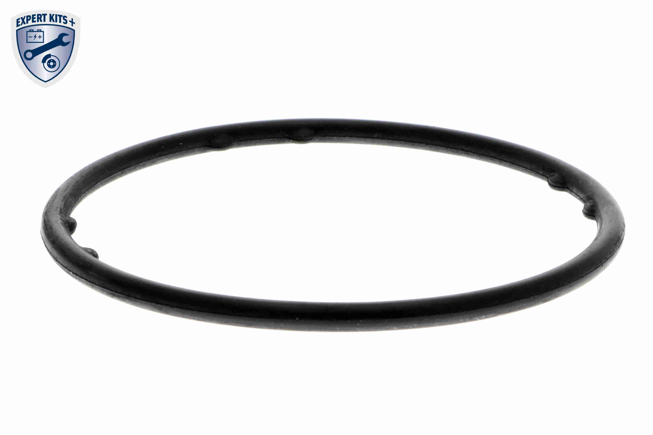 Vaico Waterpomp V10-50103