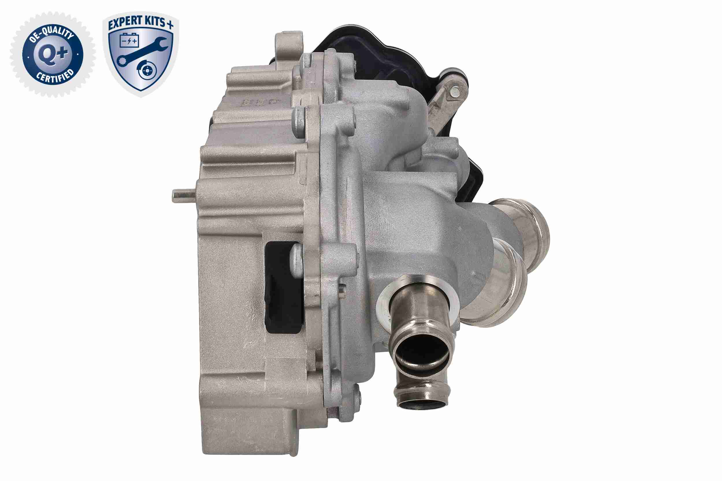 Vaico Distributieriem kit inclusief waterpomp V10-50114