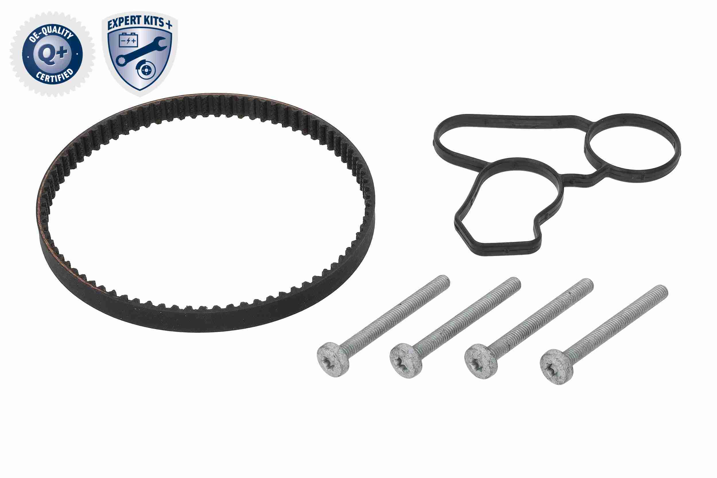 Vaico Distributieriem kit inclusief waterpomp V10-50114