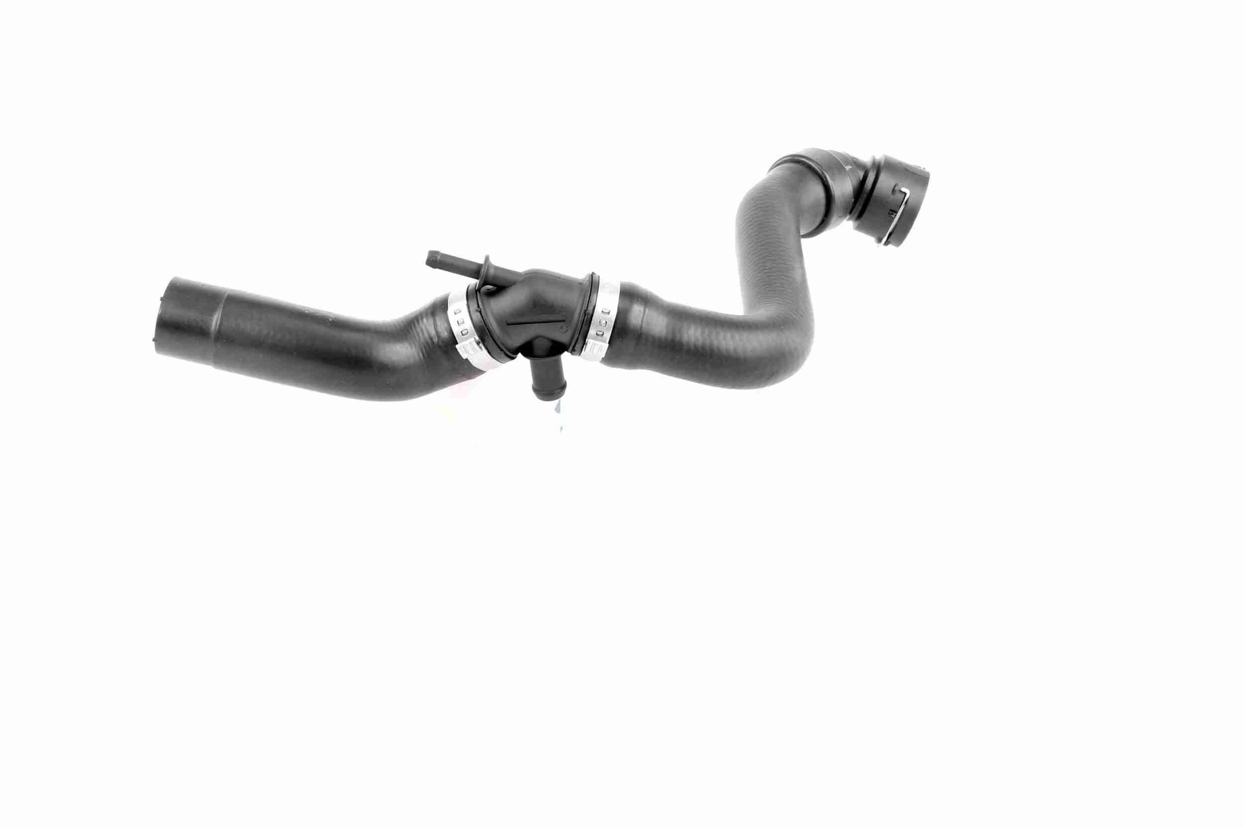 Vaico Radiateurslang V10-5156