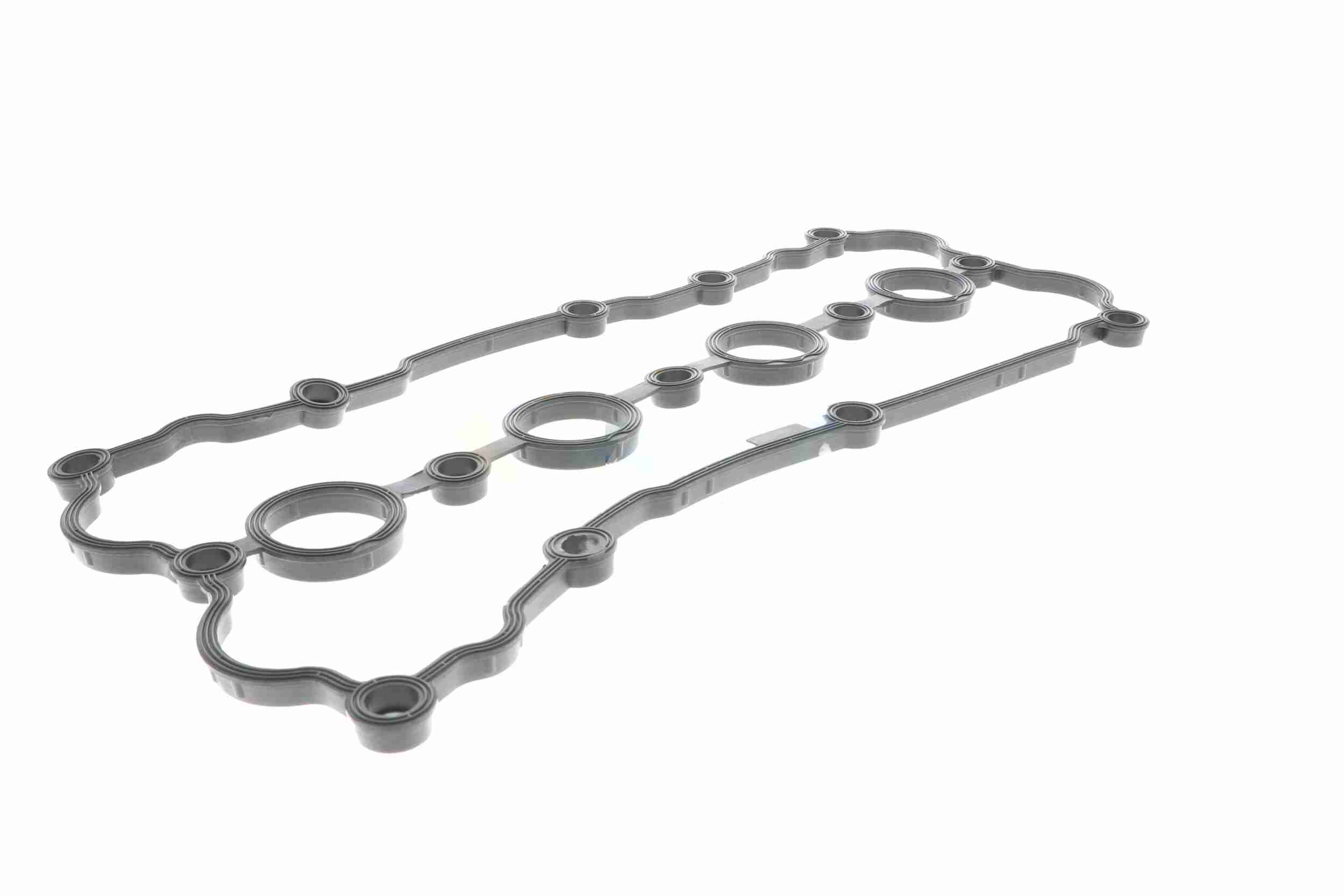 Vaico Kleppendekselpakking V10-5163