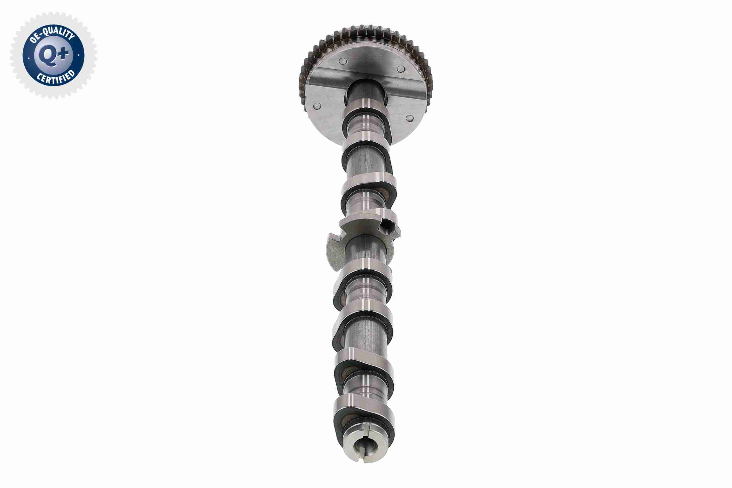 Vaico Nokkenasregelaar-/versteller V10-5585