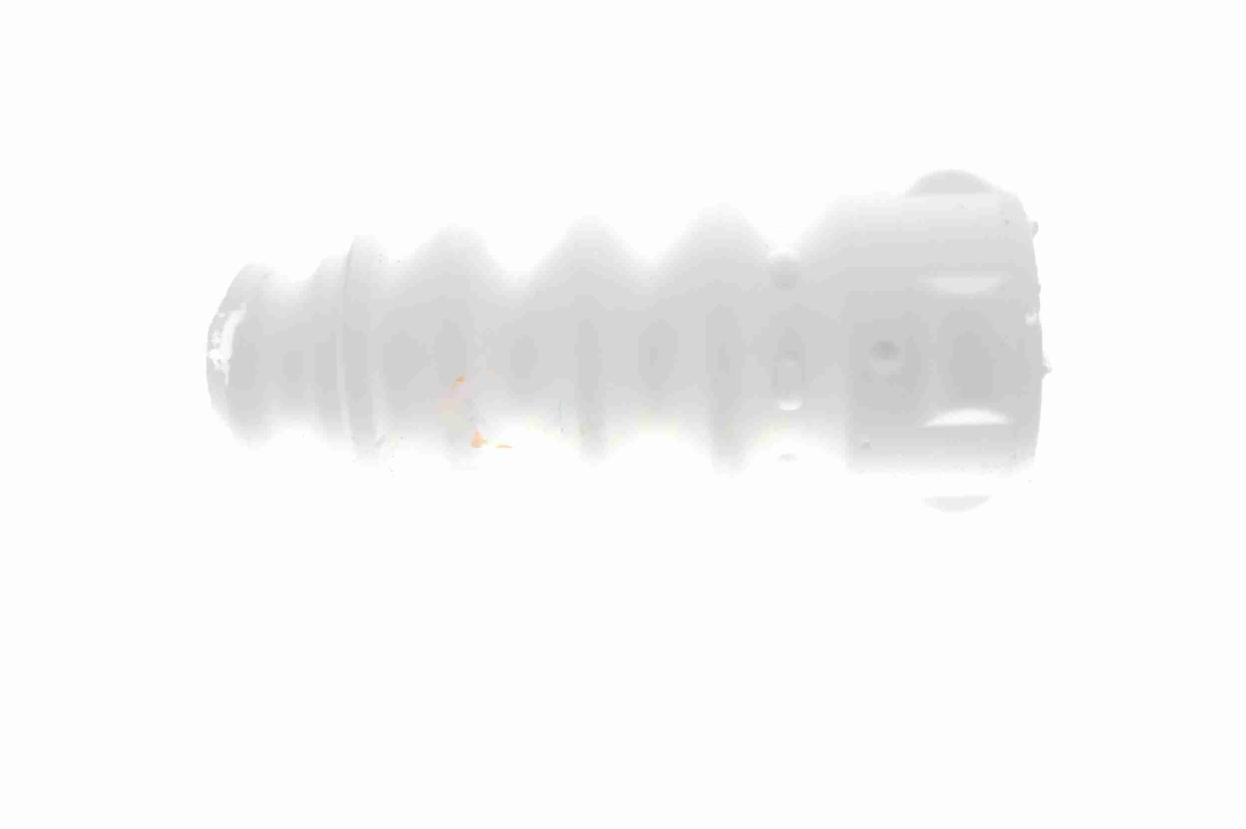 Vaico Aanslagrubber vering V10-6088