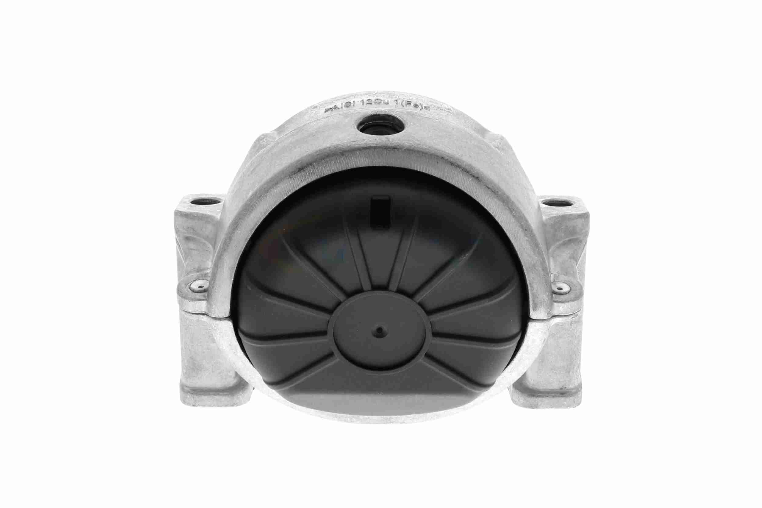 Vaico Motorsteun V10-6480