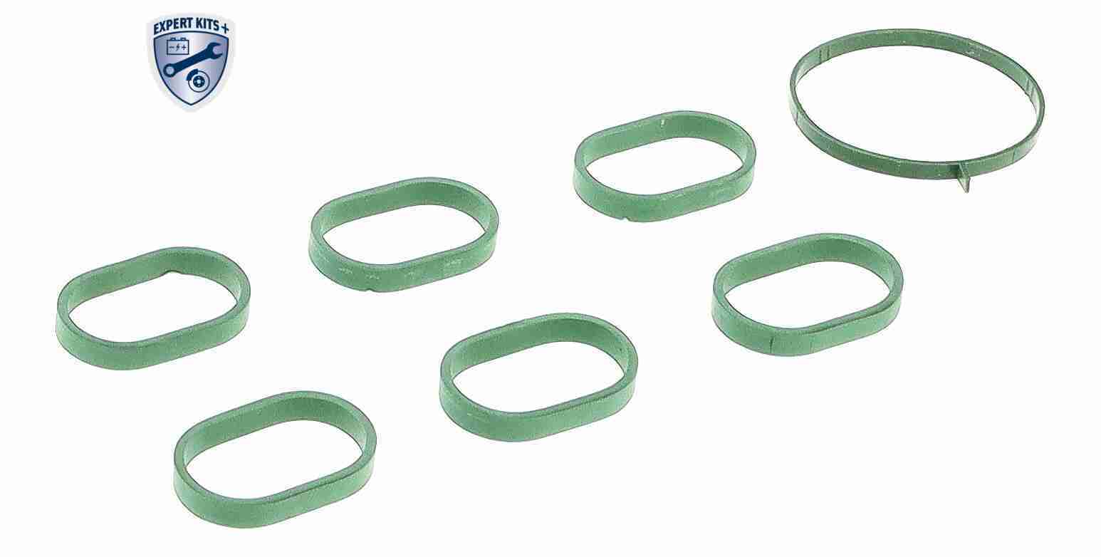 Vaico Zuigbuismodule V10-6771