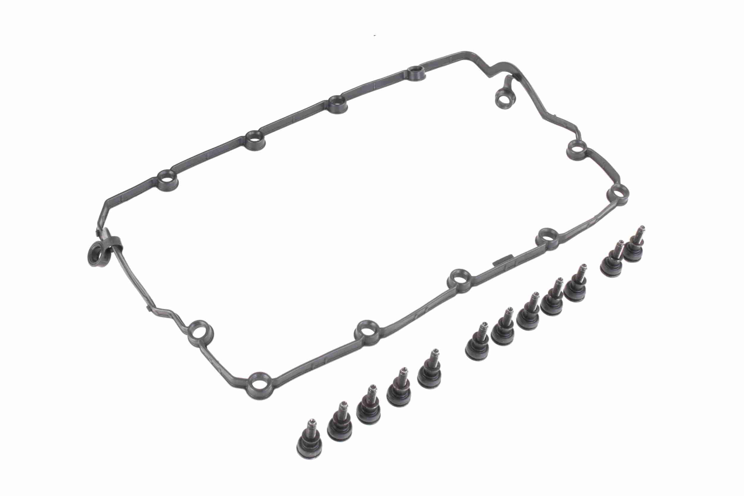 Vaico Kleppendeksel V10-6829