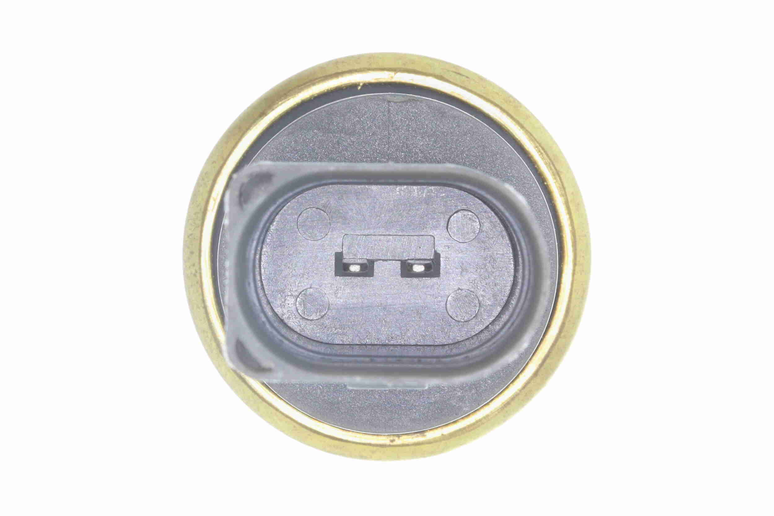 Vaico Radiateurslang V10-6910