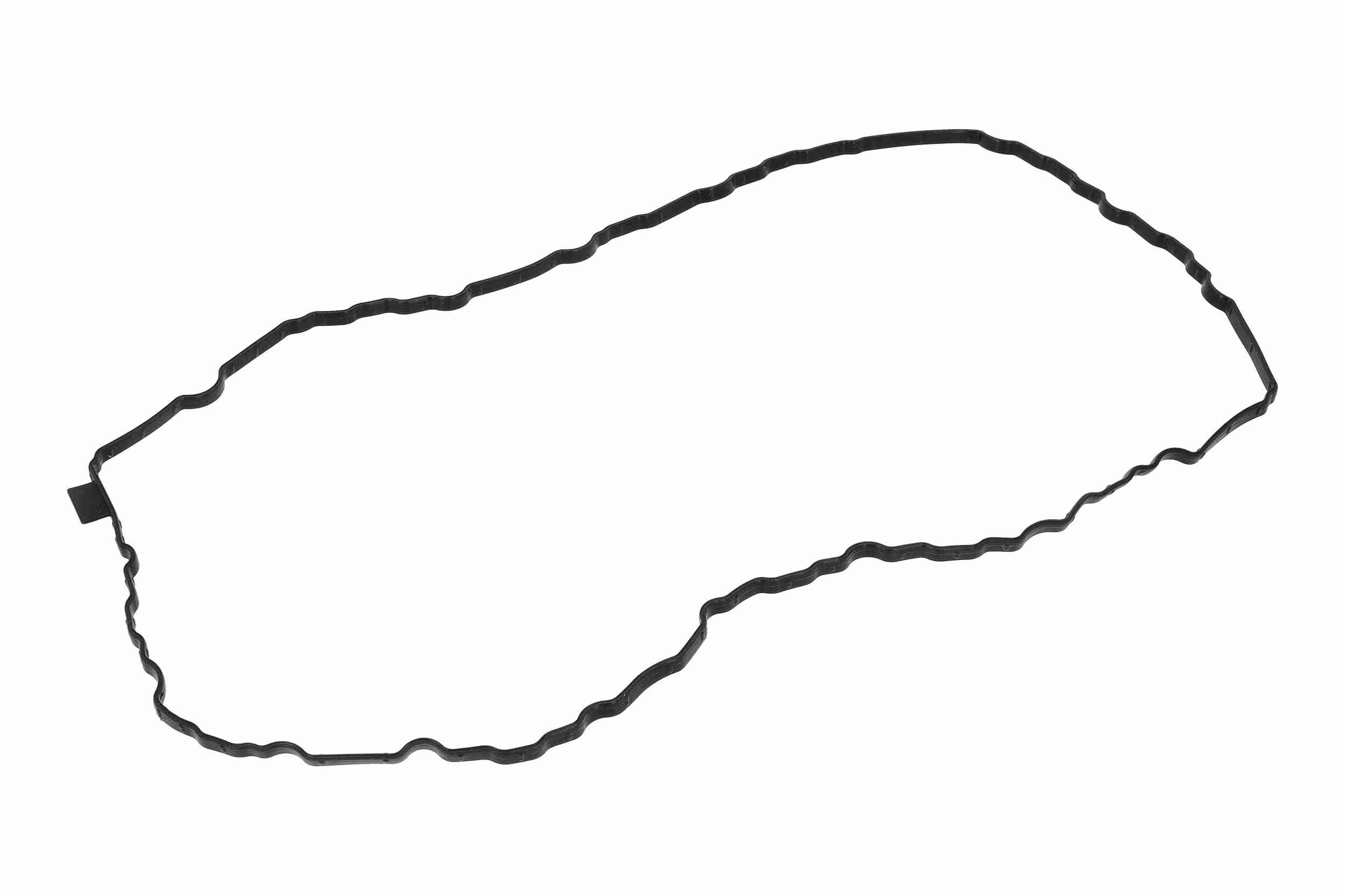 Vaico Carter pakking V10-6964