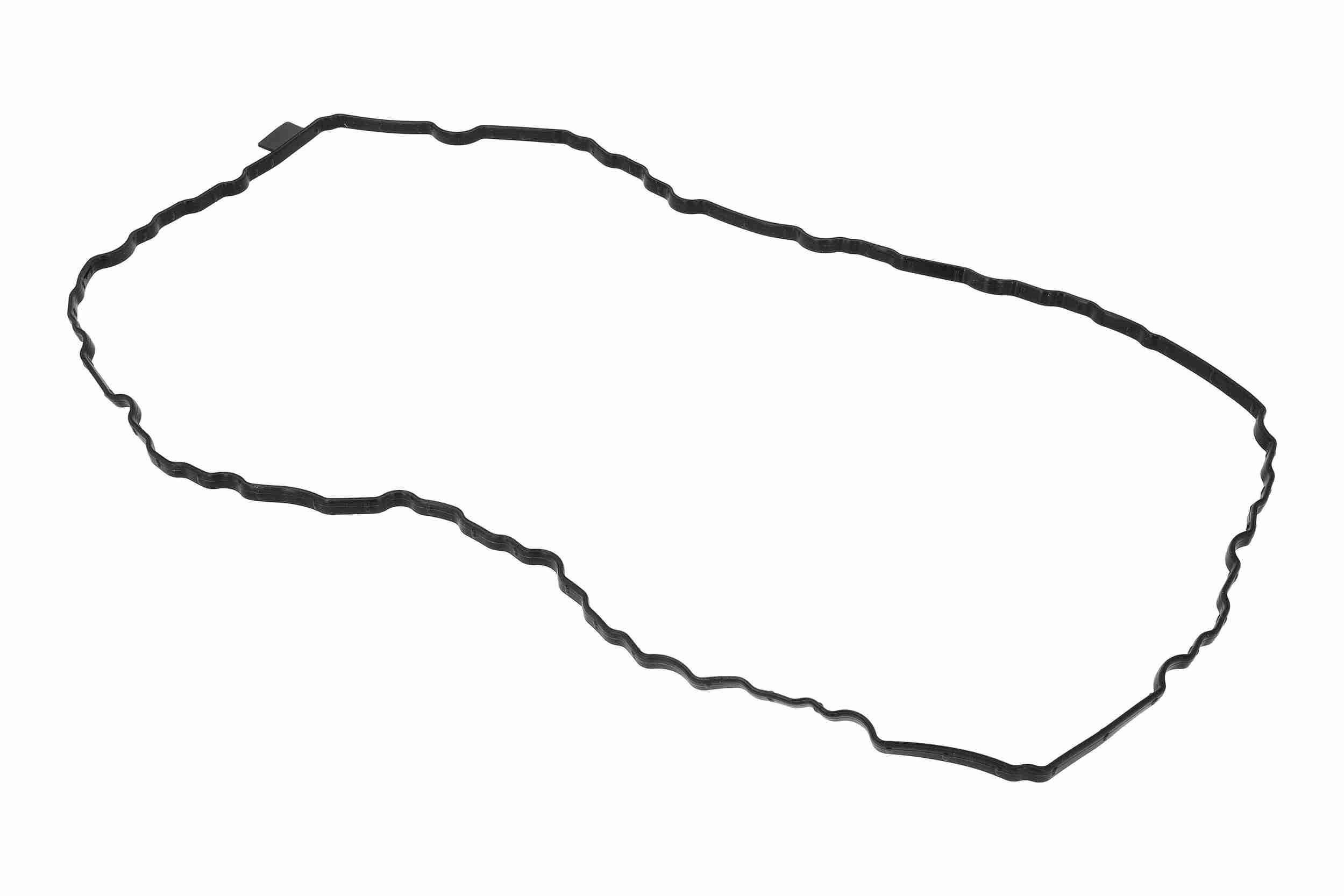 Vaico Carter pakking V10-6964