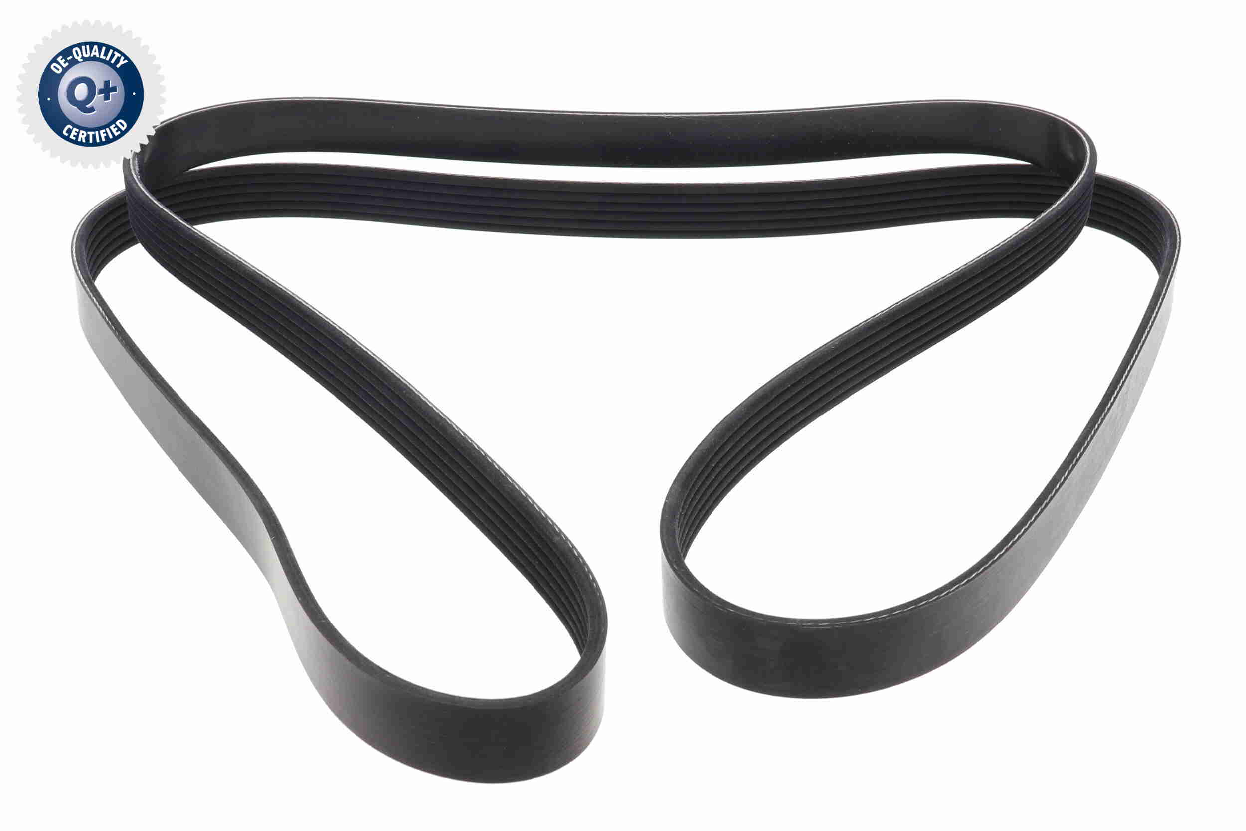 Vaico Poly V-riemen kit inclusief waterpomp V30-50109