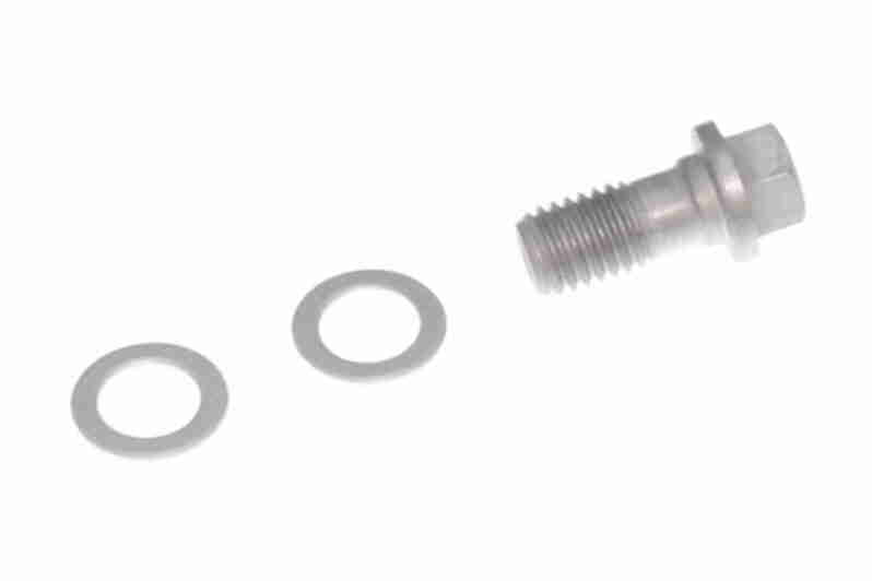 Vaico Remslang V10-7973