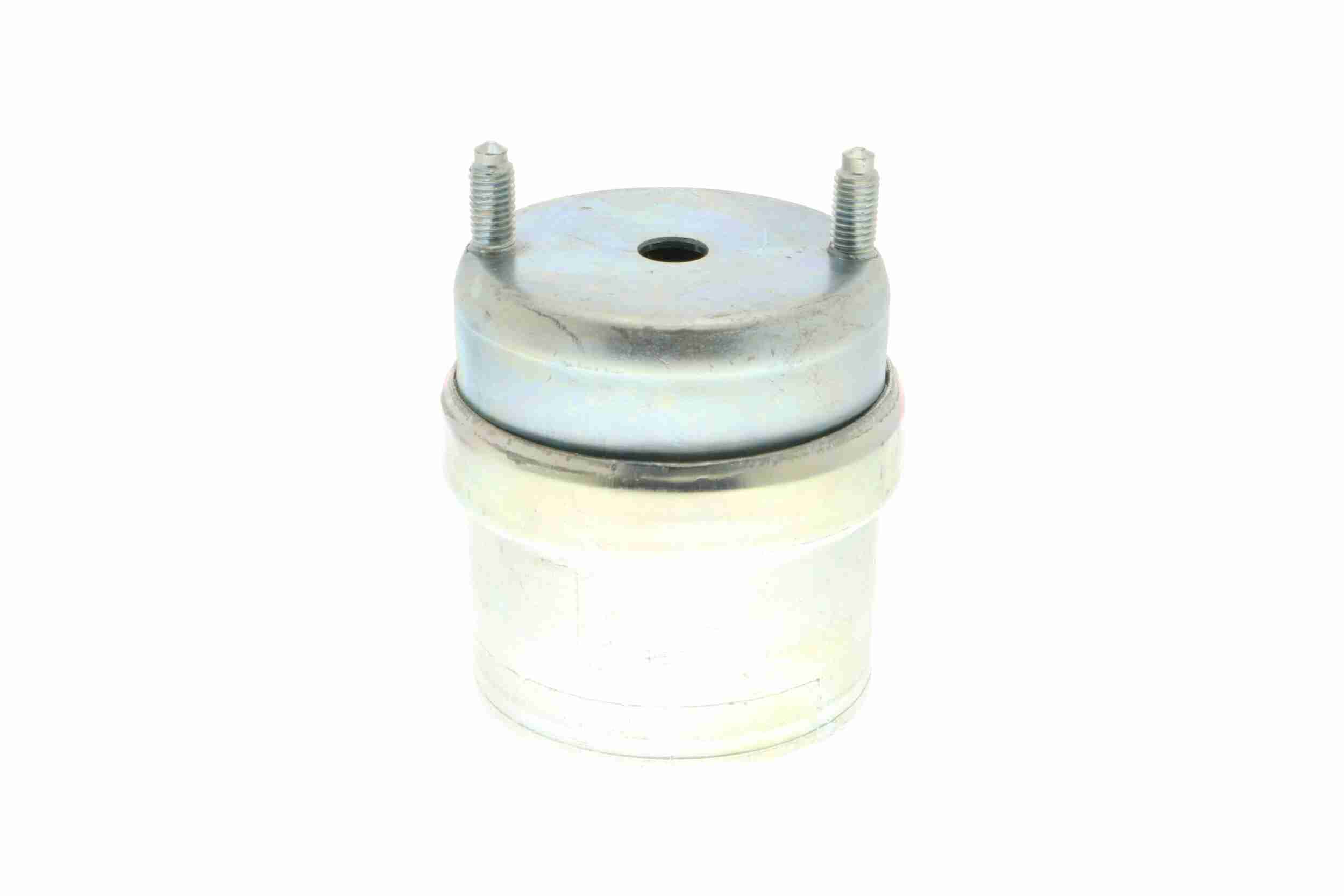 Vaico Motorsteun V10-8208