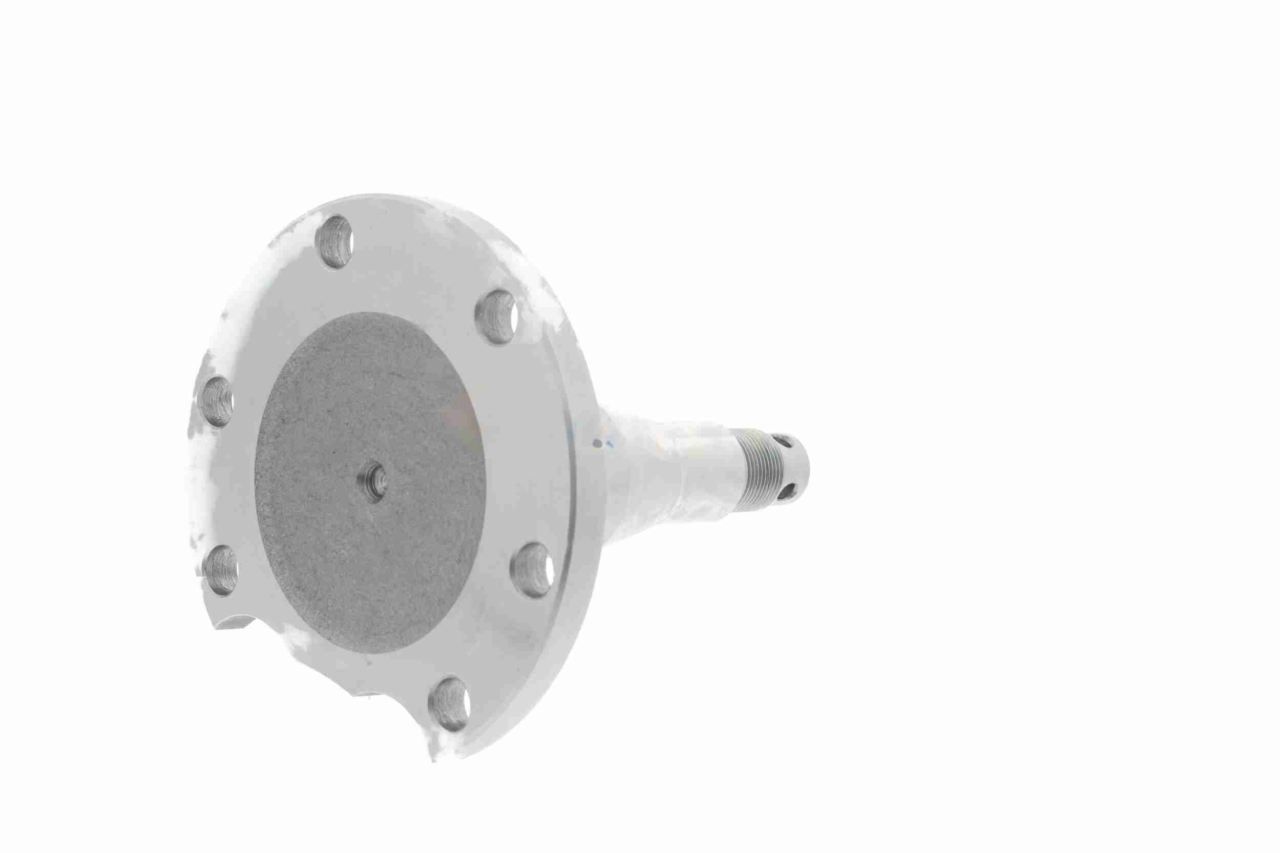 Vaico Astap V10-8344