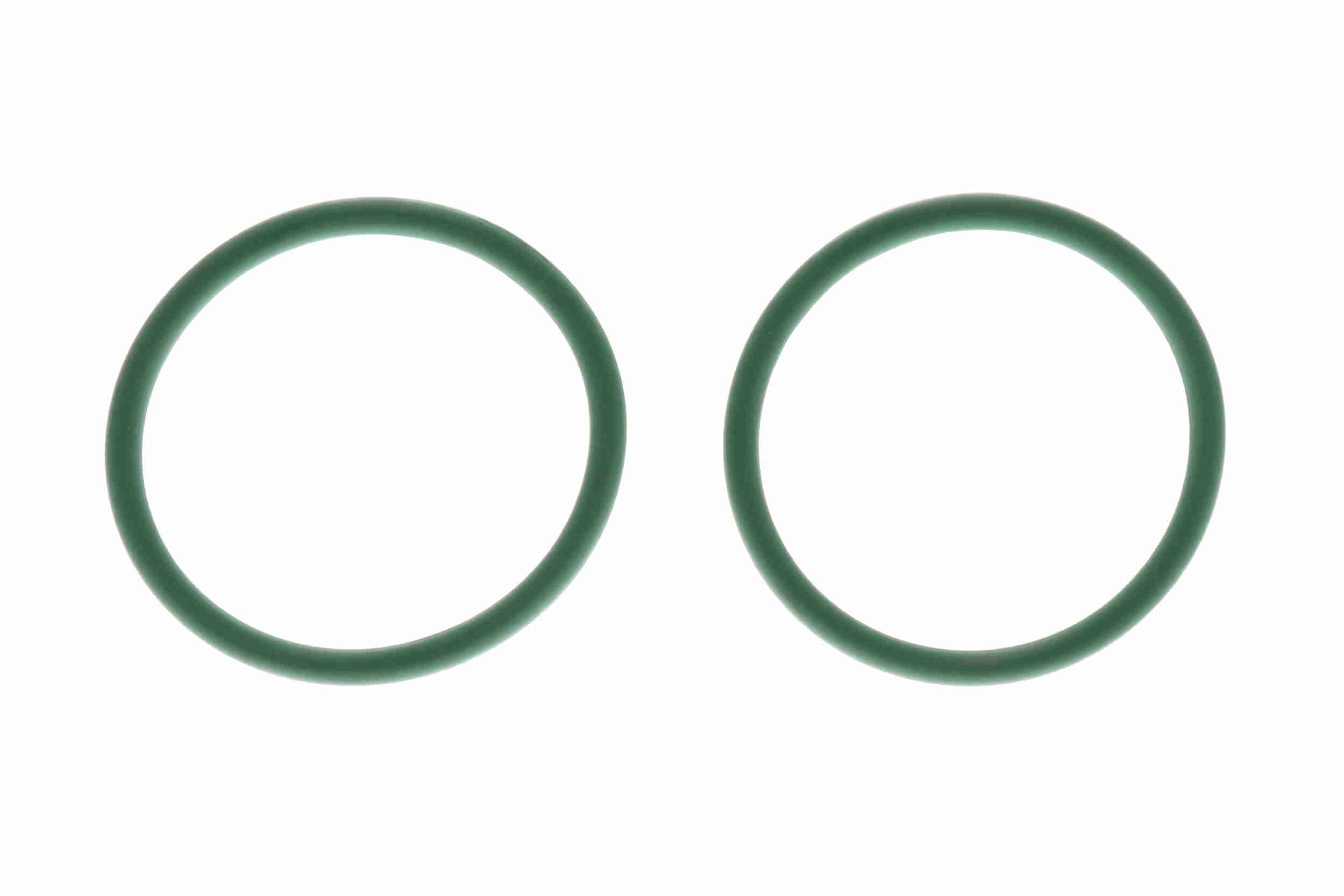 Vaico Laadlucht-/turboslang V10-8916