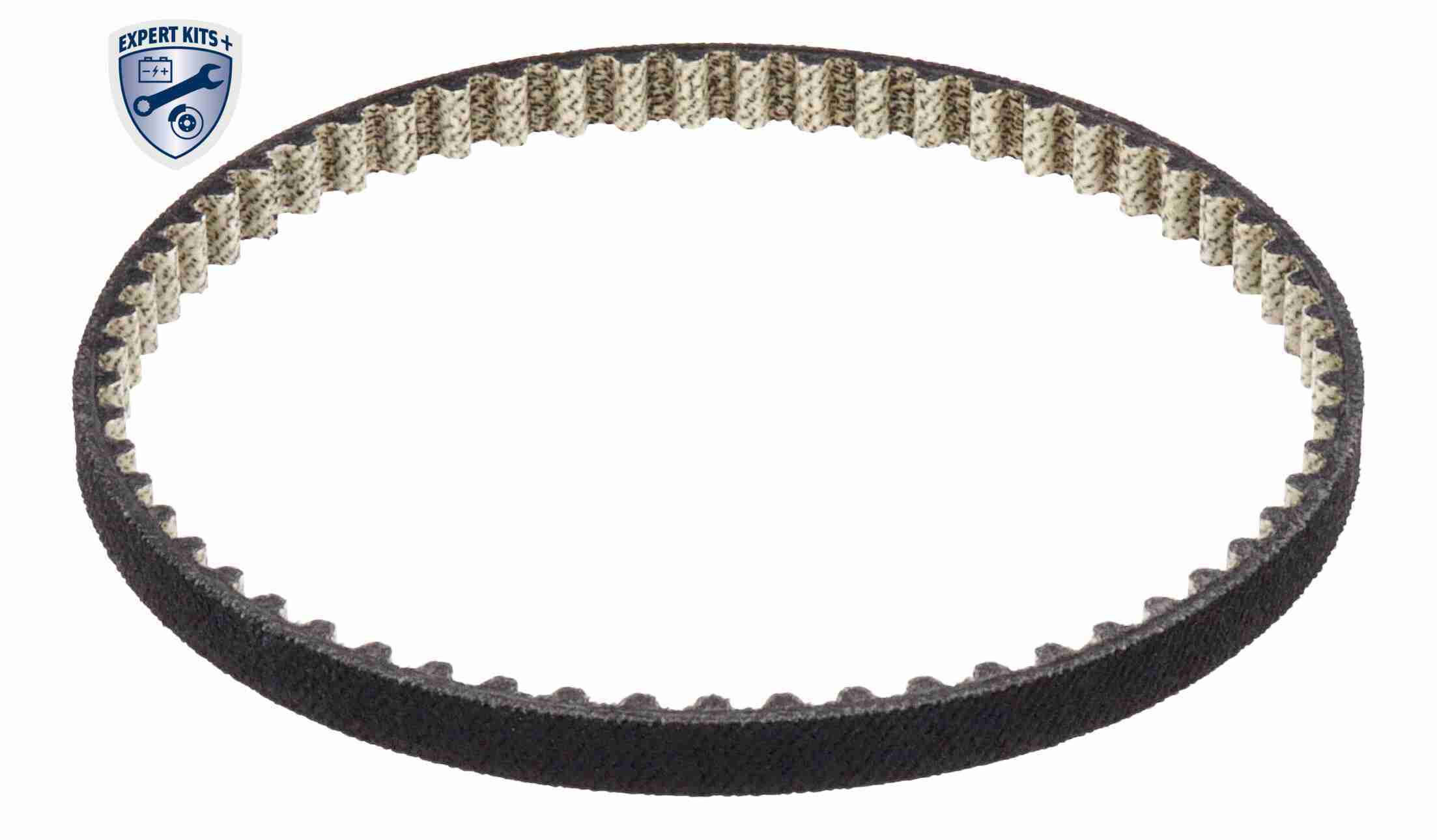 Vaico Oliepomp V10-8967