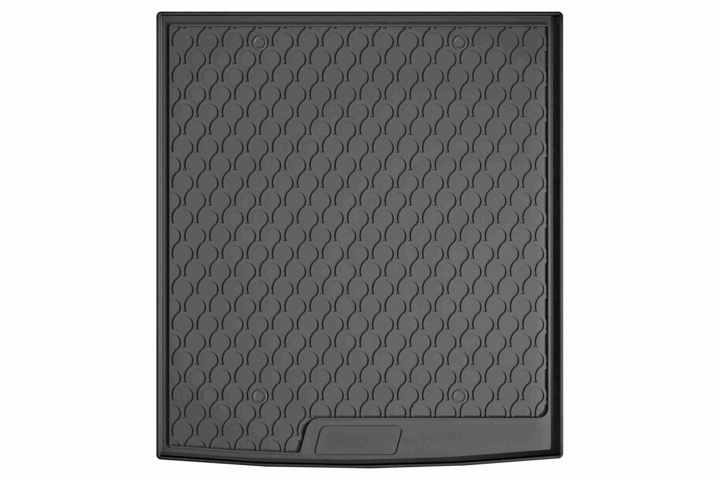 Vaico Kofferbak / Laadruimtekuip V10-9144