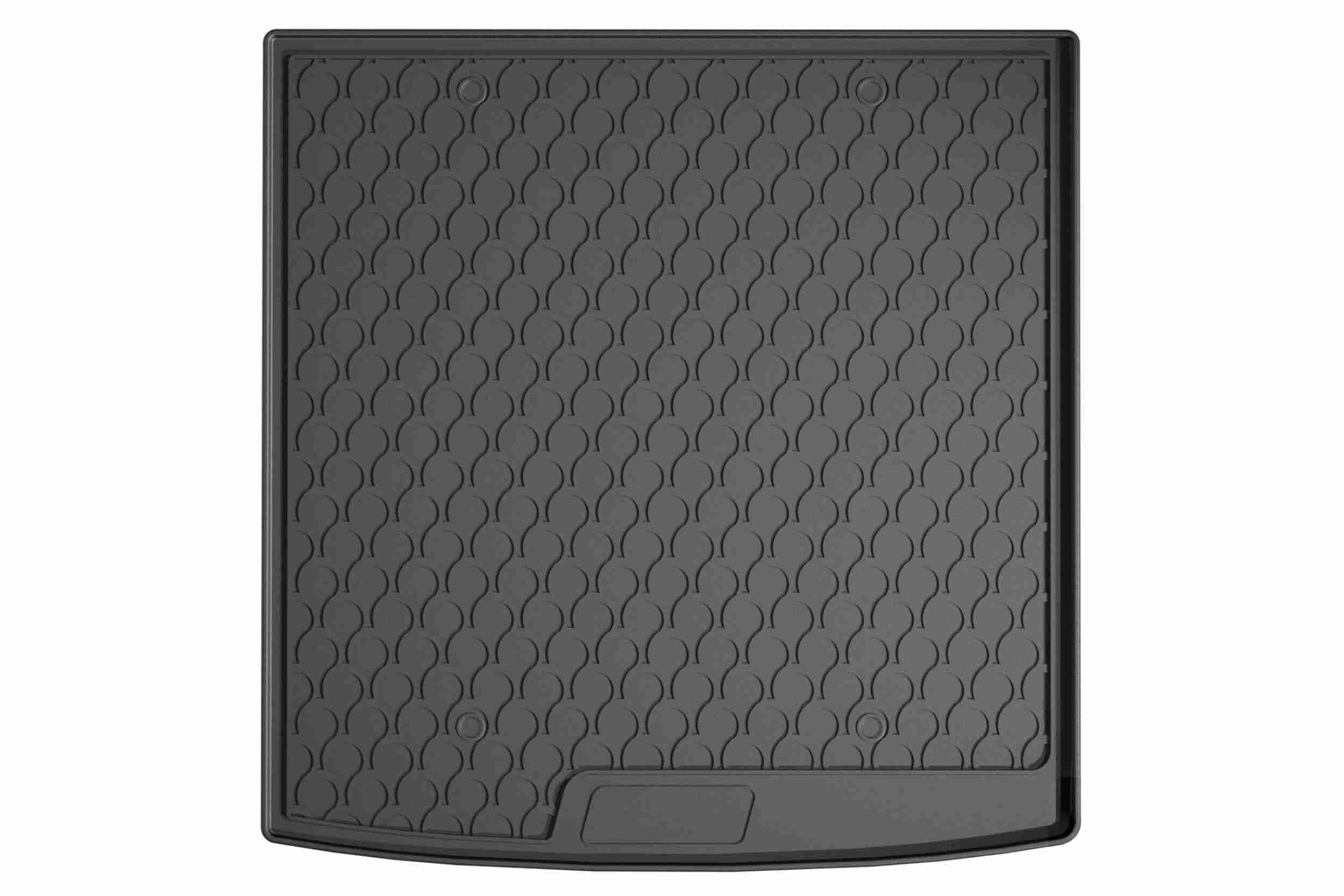 Vaico Kofferbak / Laadruimtekuip V10-9146