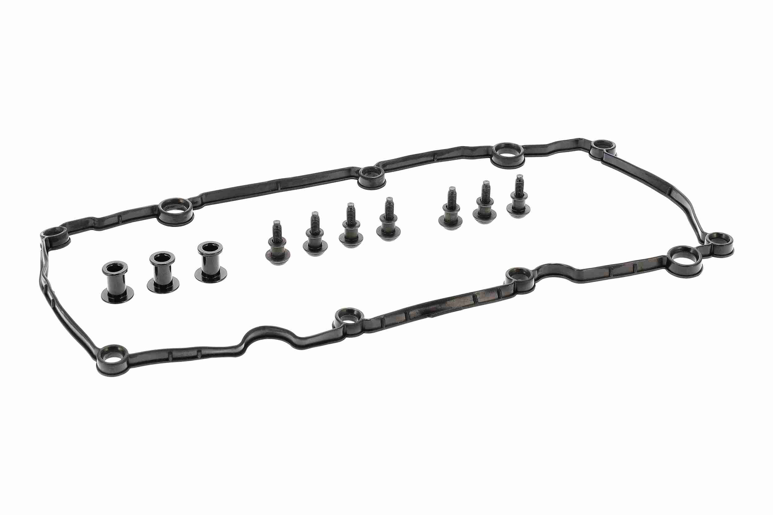 Vaico Cilinderkopkap V10-9651