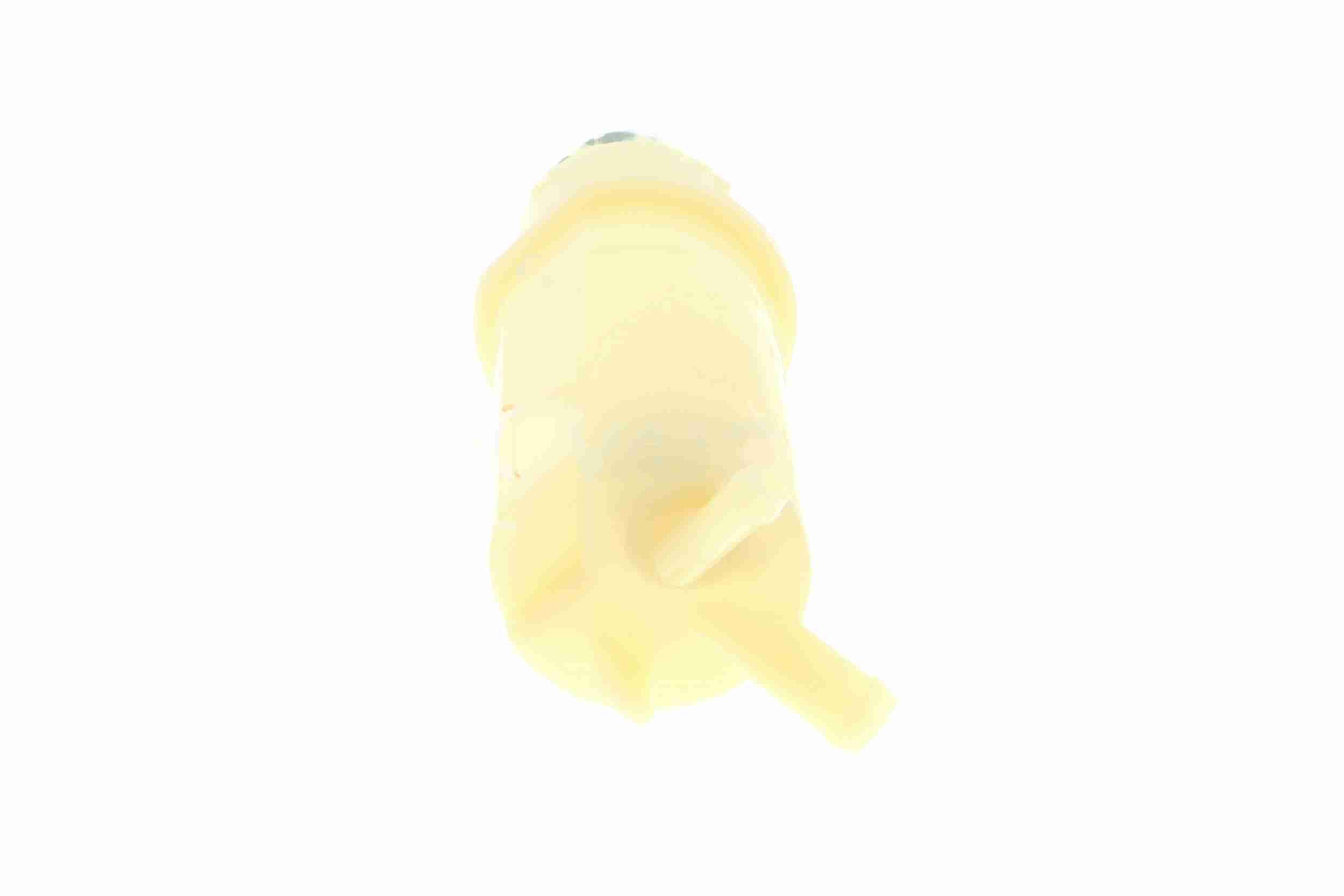 Vaico Oliereservoir servo V10-9729