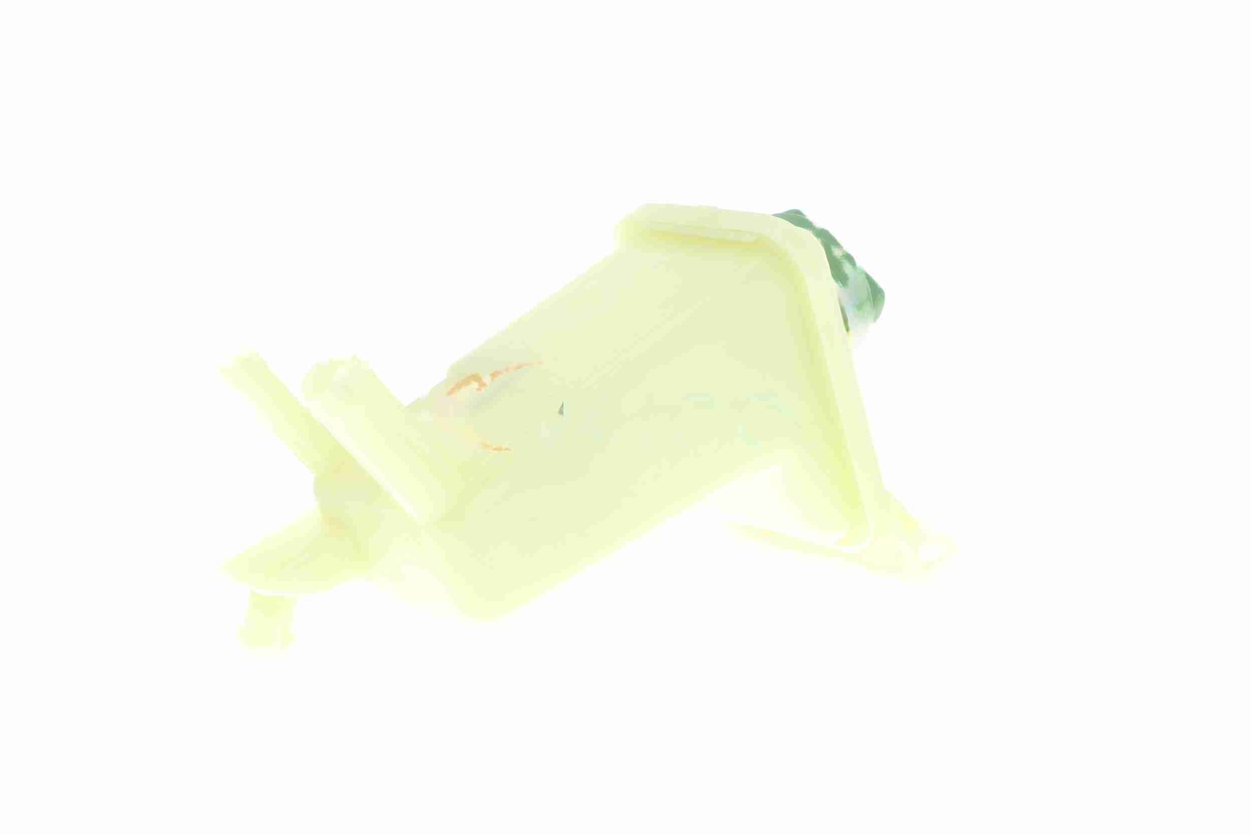 Vaico Oliereservoir servo V10-9730