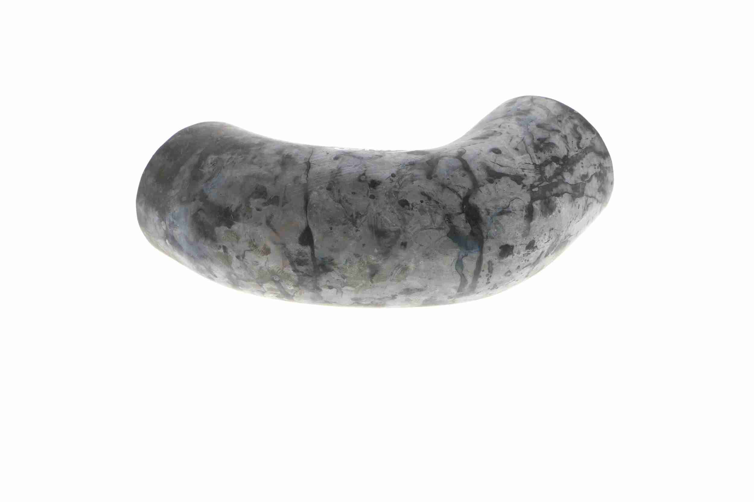 Vaico Radiateurslang V20-0151