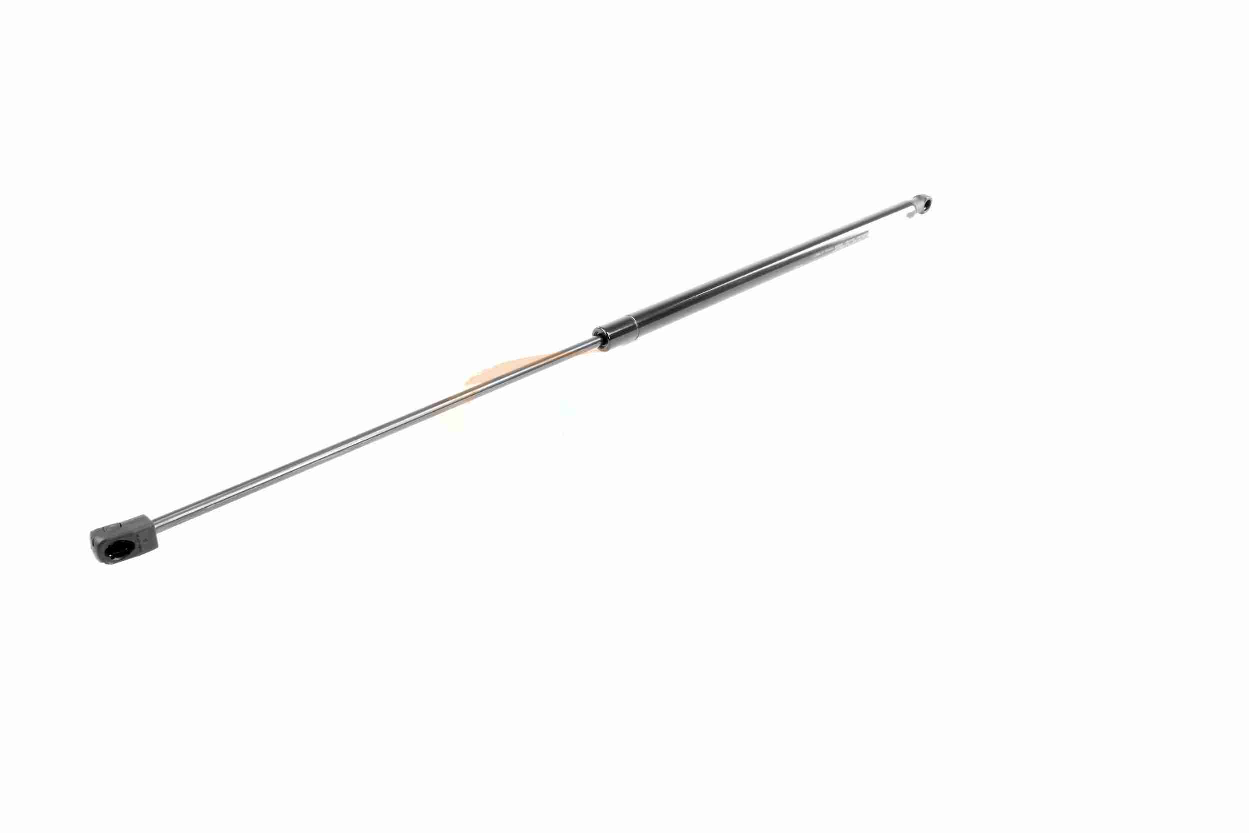 Vaico Gasveer, motorkap V20-0987