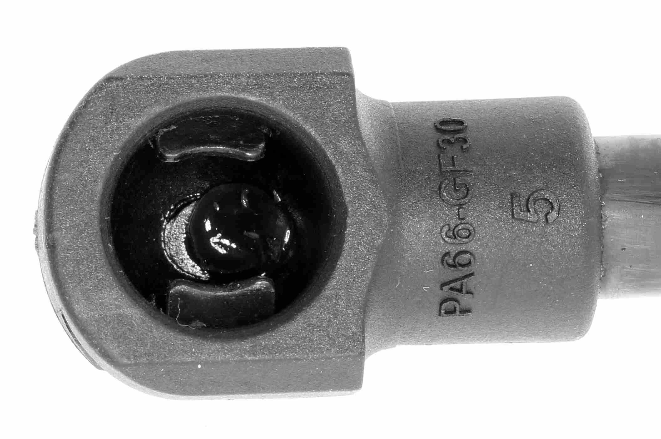 Vaico Gasveer, kofferruimte V20-0997