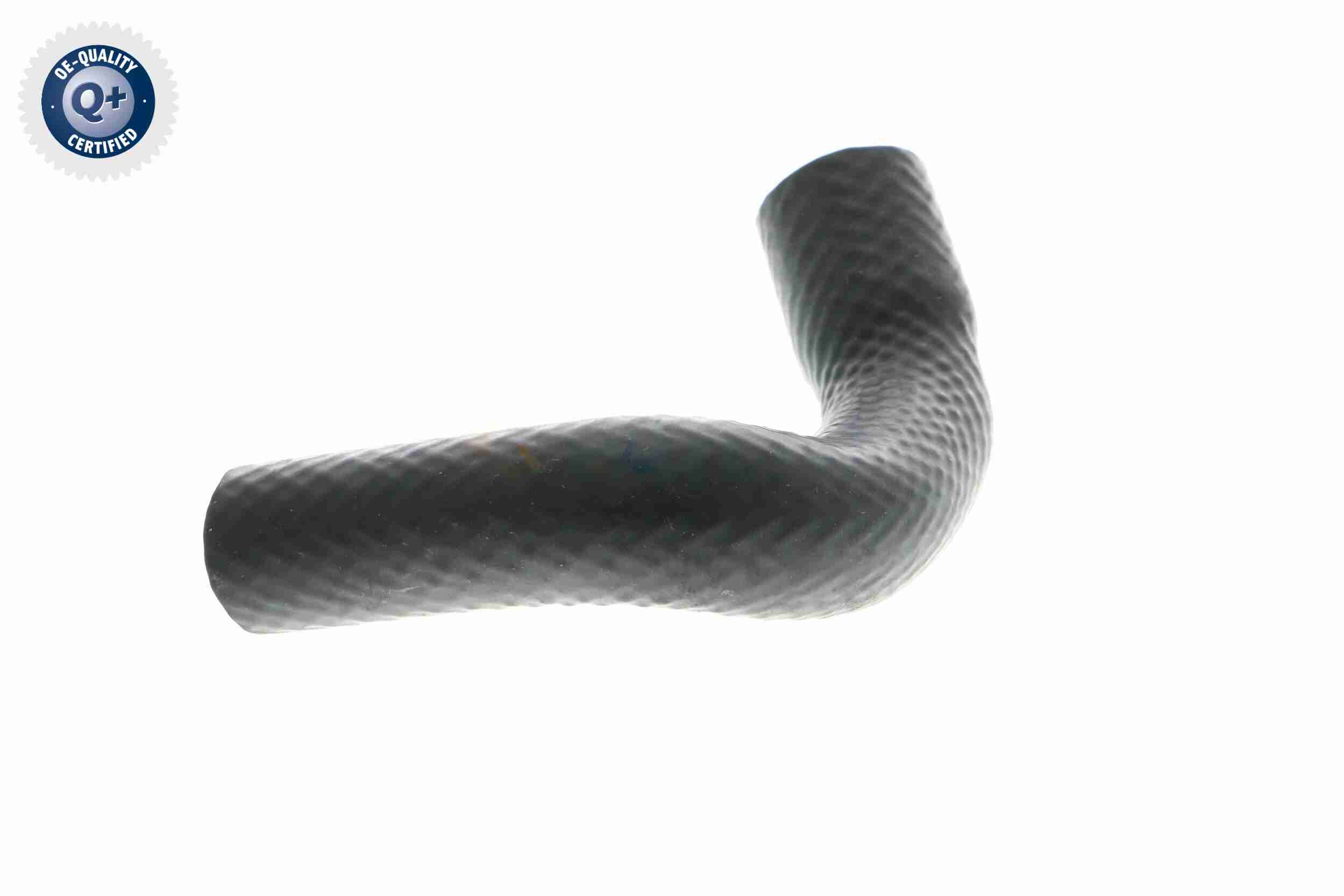 Vaico Slangen V20-1348