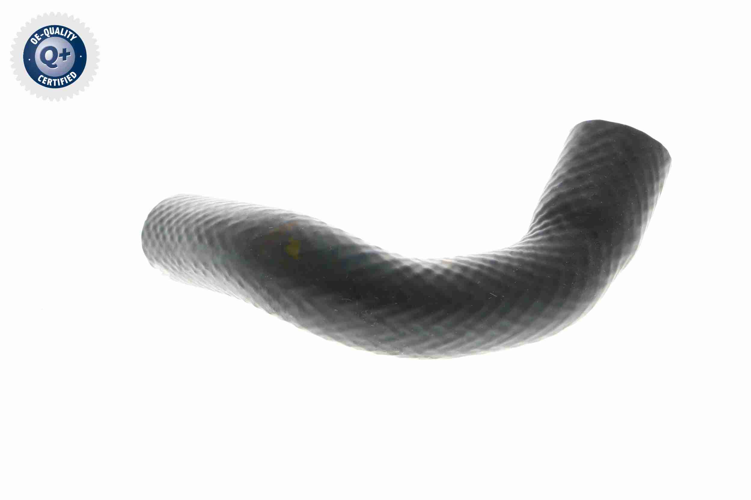 Vaico Slangen V20-1348