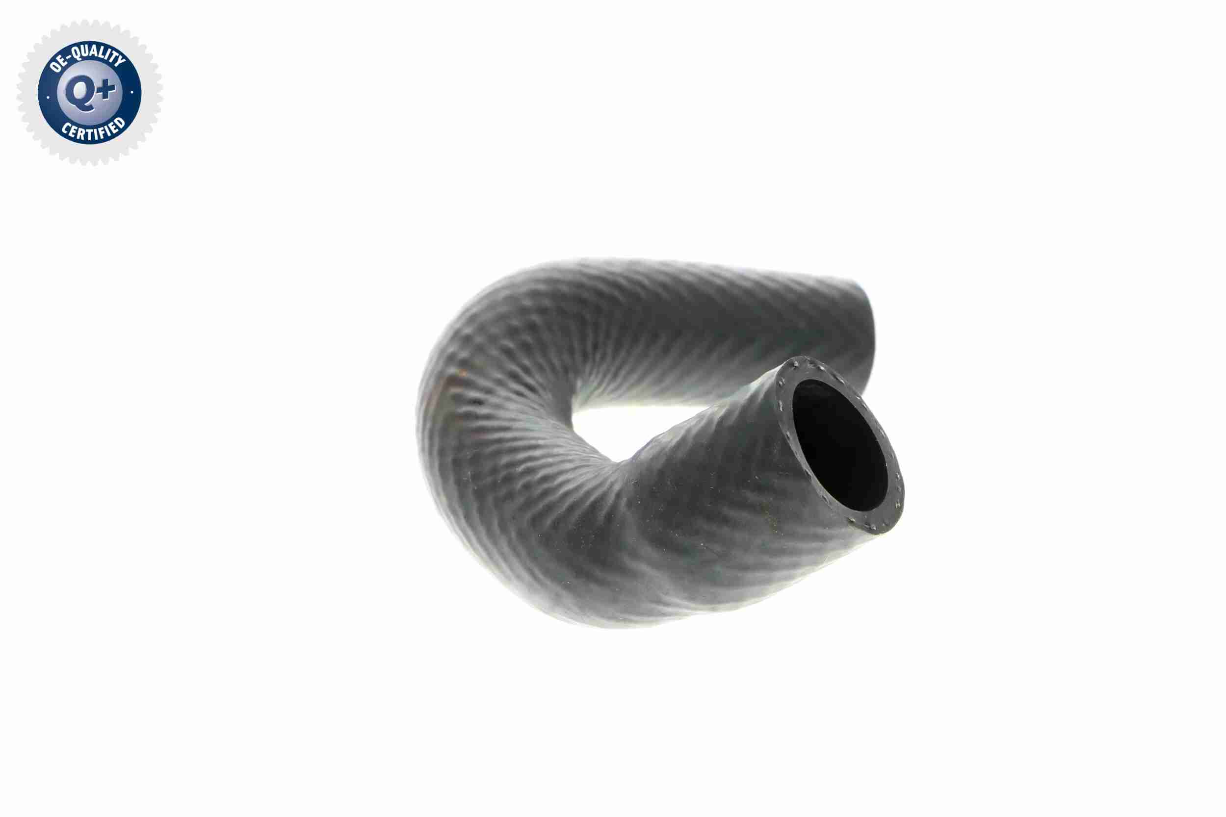 Vaico Slangen V20-1348